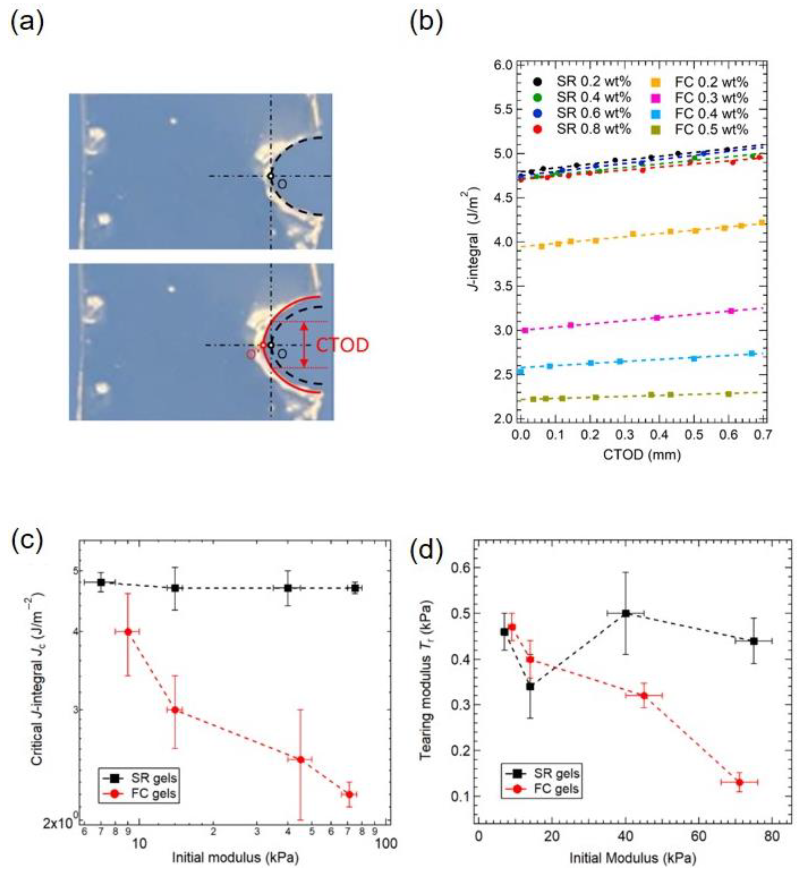 Gels 07 00091 g012 550