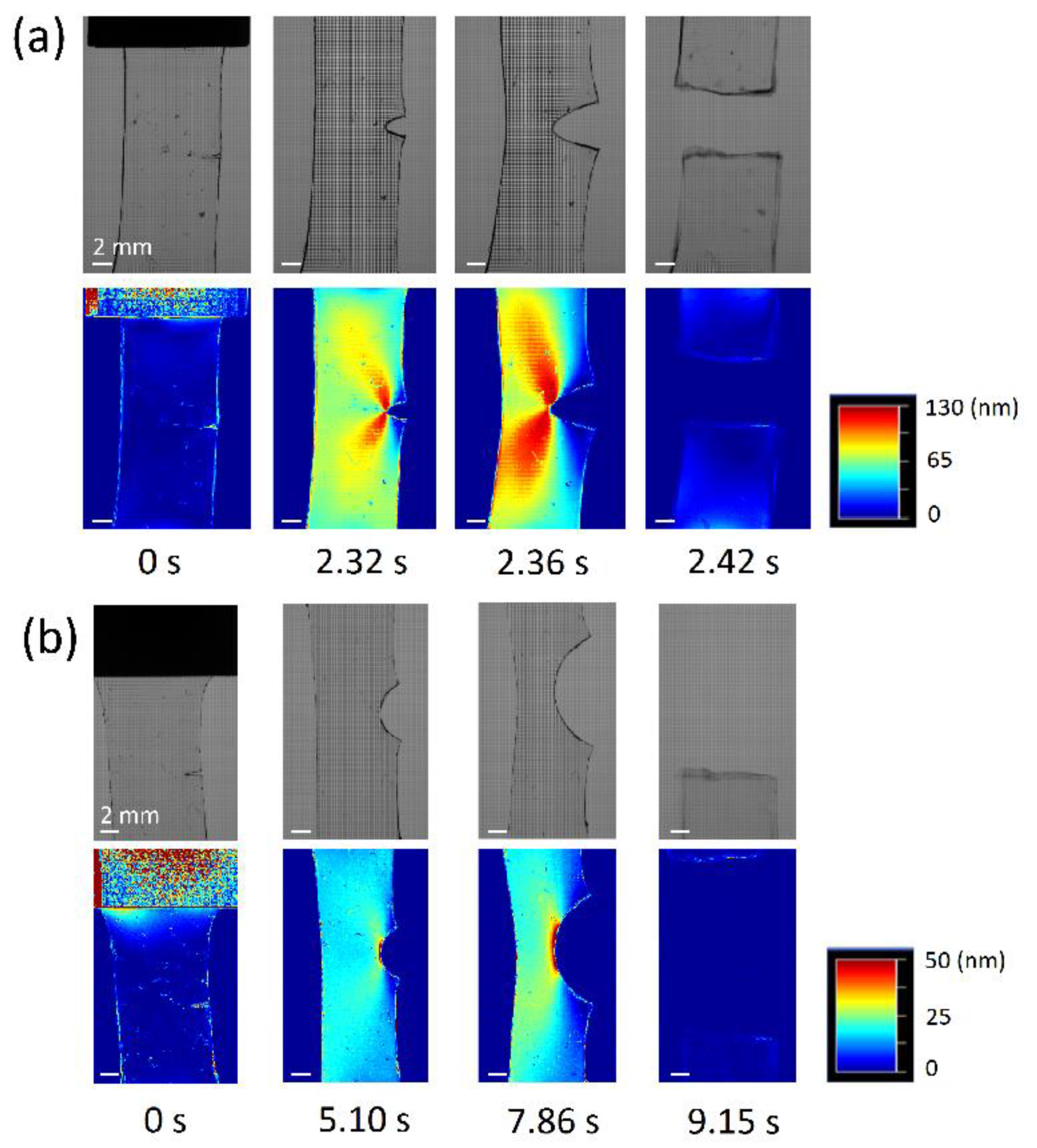 Gels 07 00091 g014 550