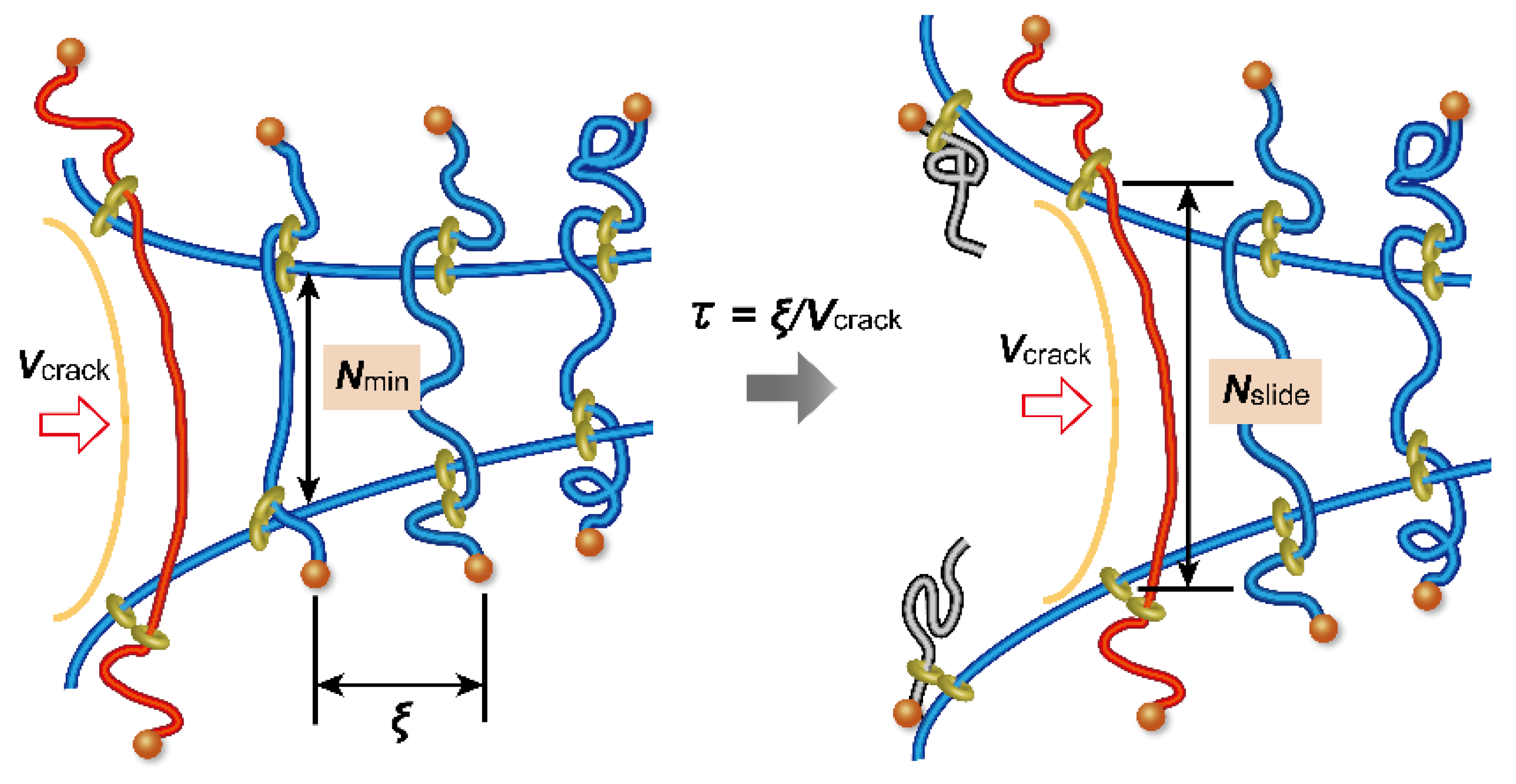 Gels 07 00091 g016 550