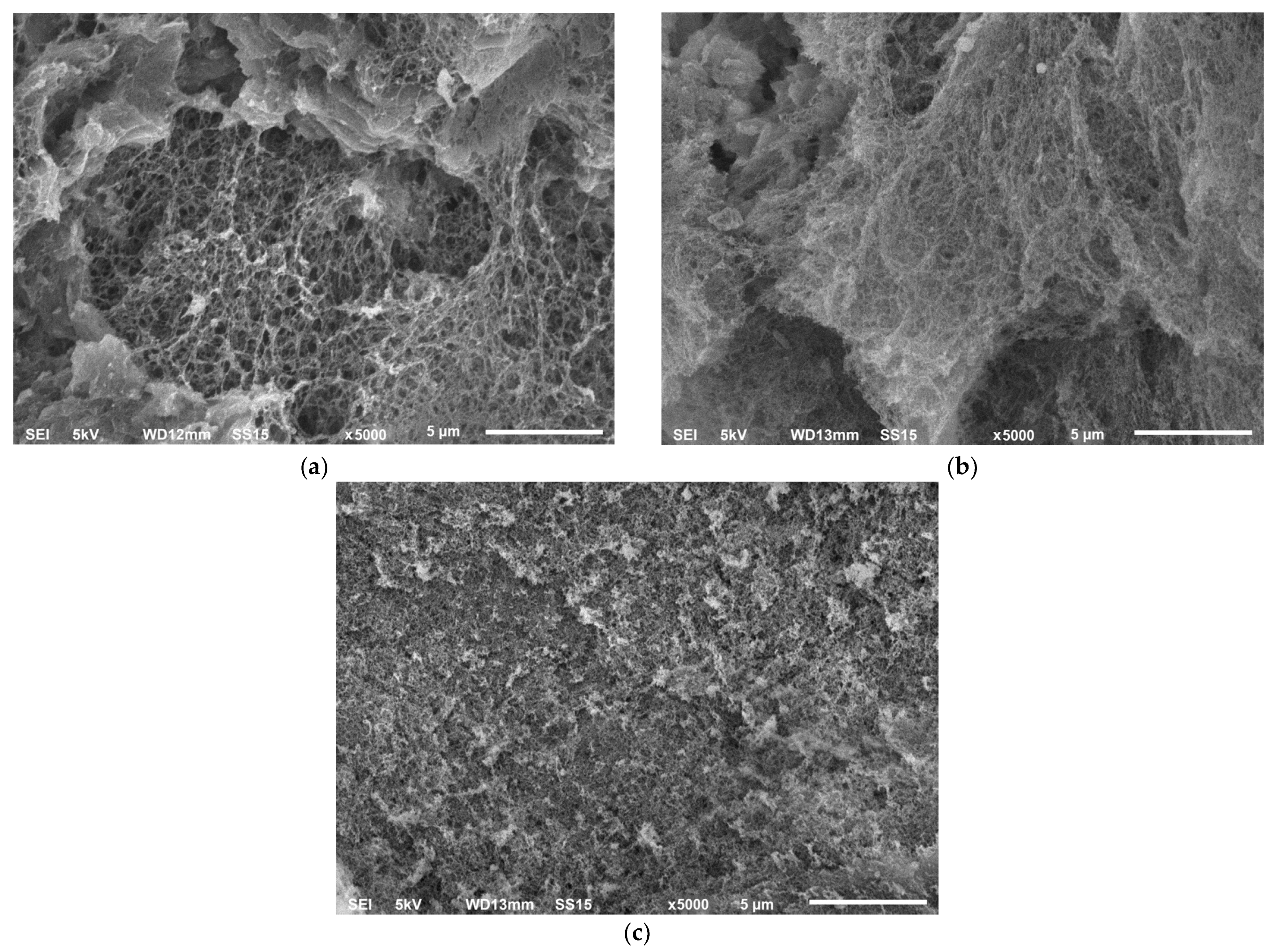 Gels 07 00092 g007 550