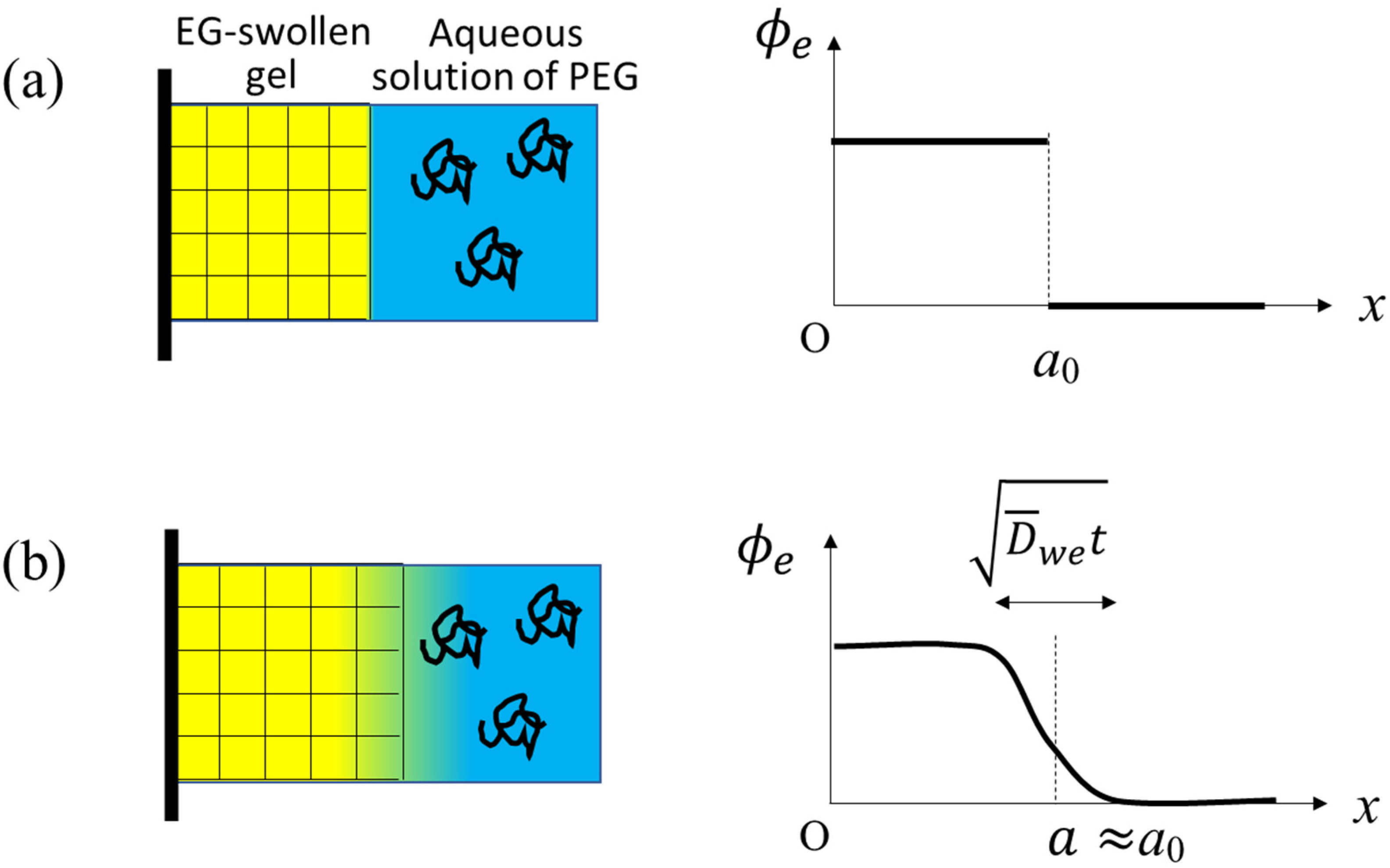 Gels 07 00094 g001 550