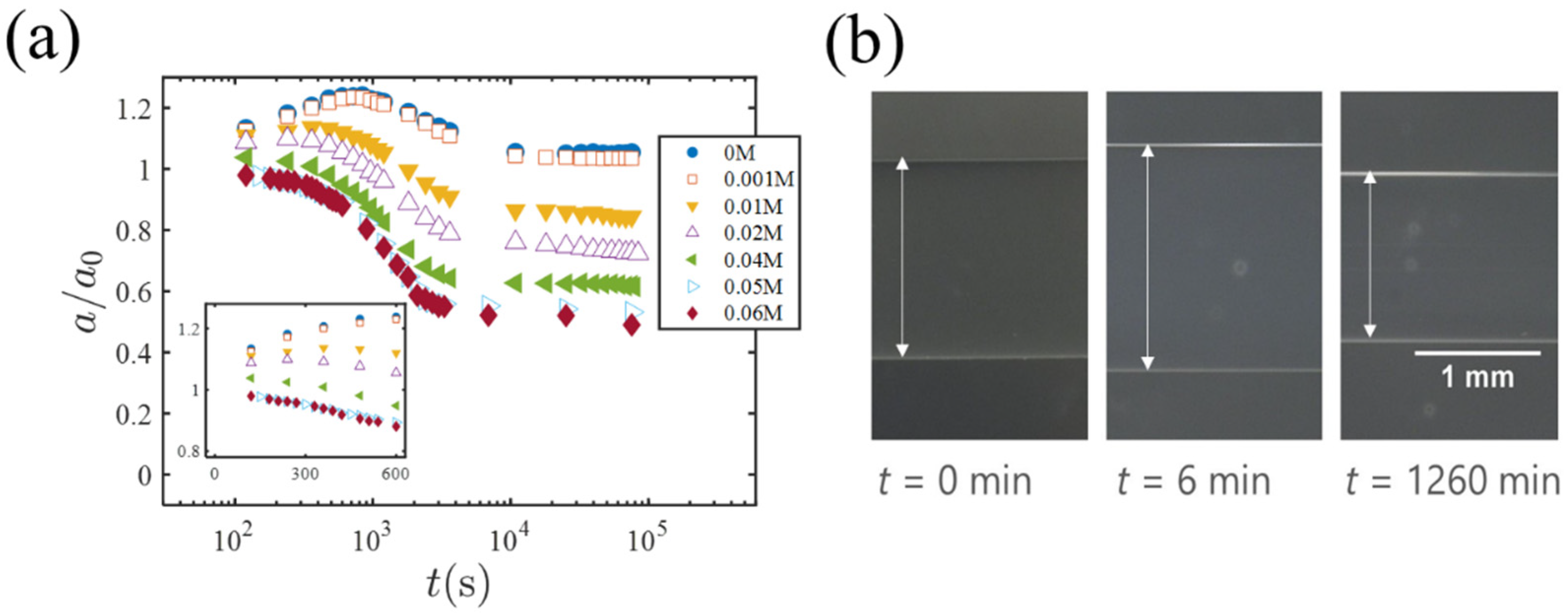 Gels 07 00094 g003 550