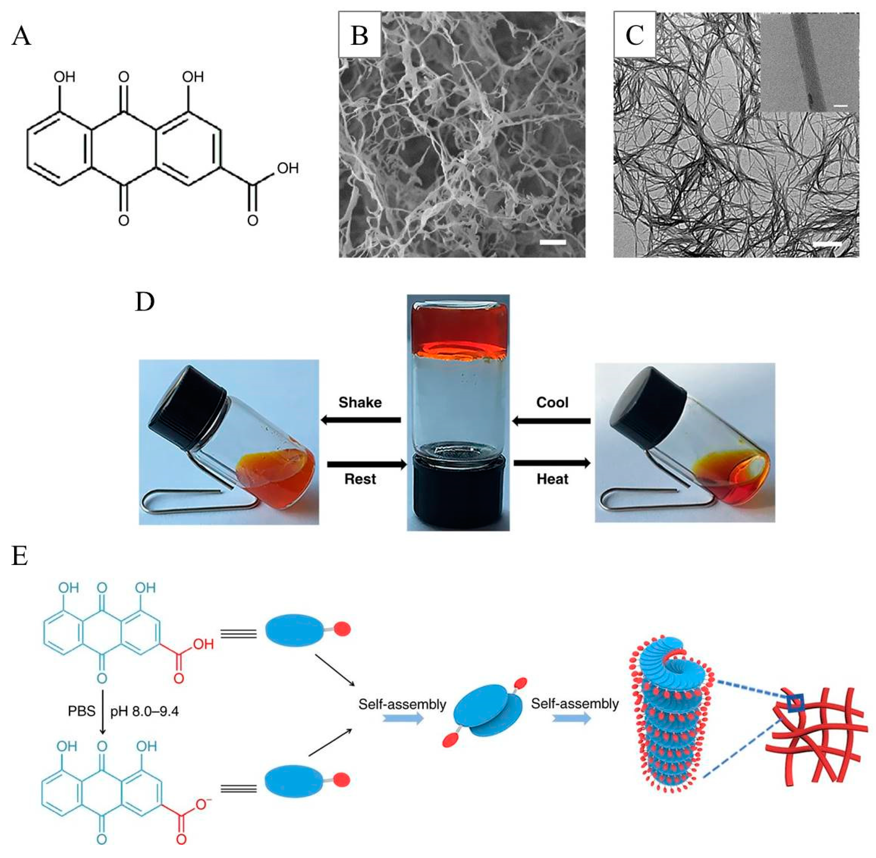 Gels 07 00105 g004 550