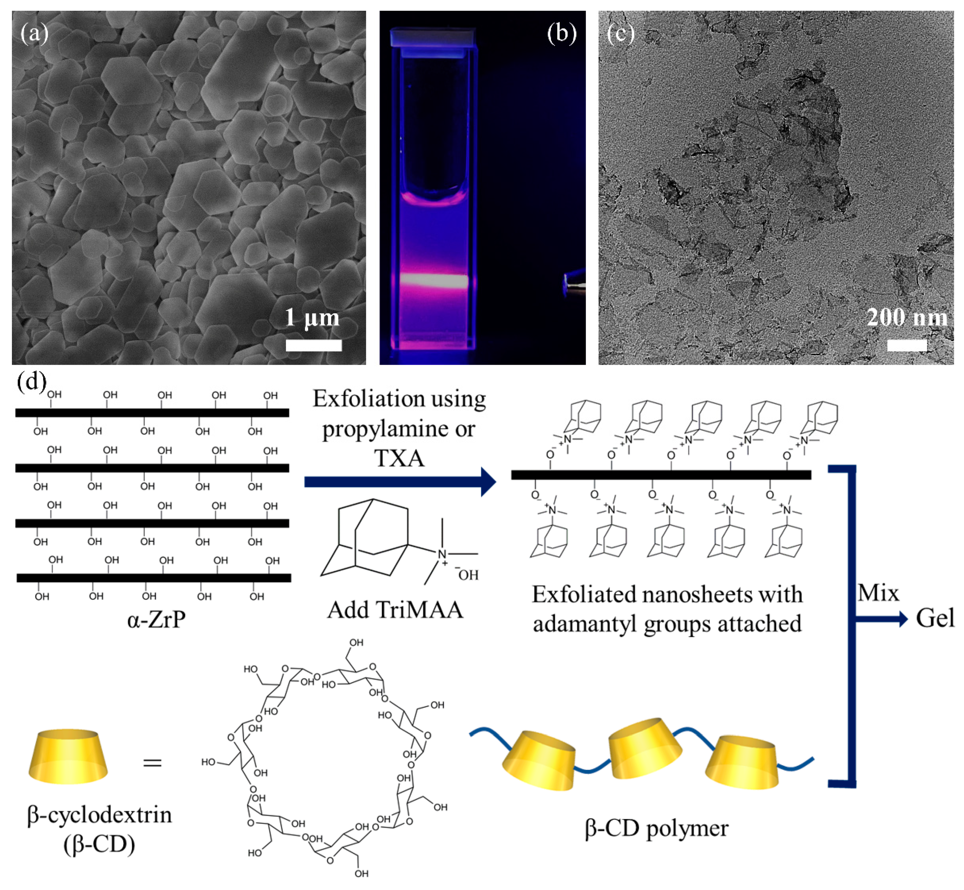Gels 07 00106 g001 550