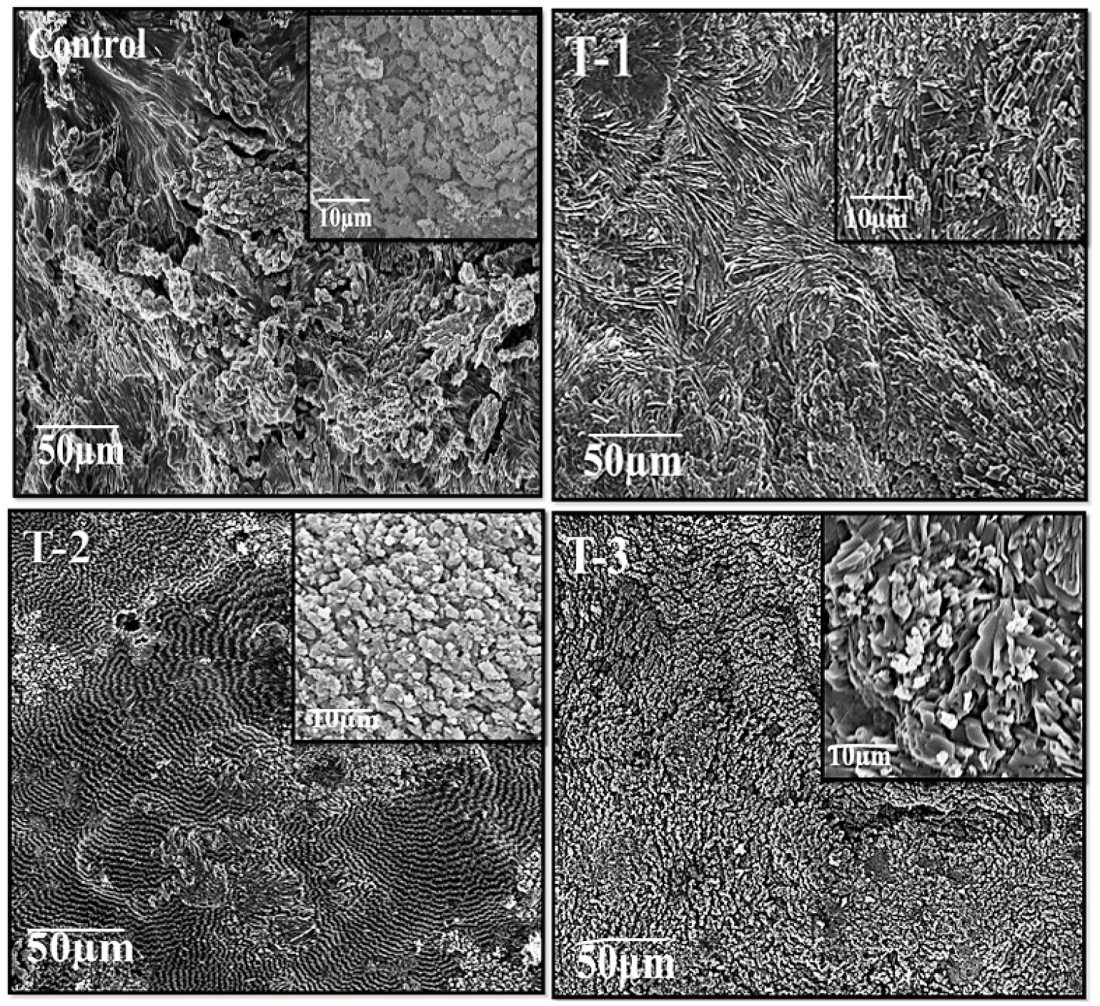 Gels 07 00107 g002 550