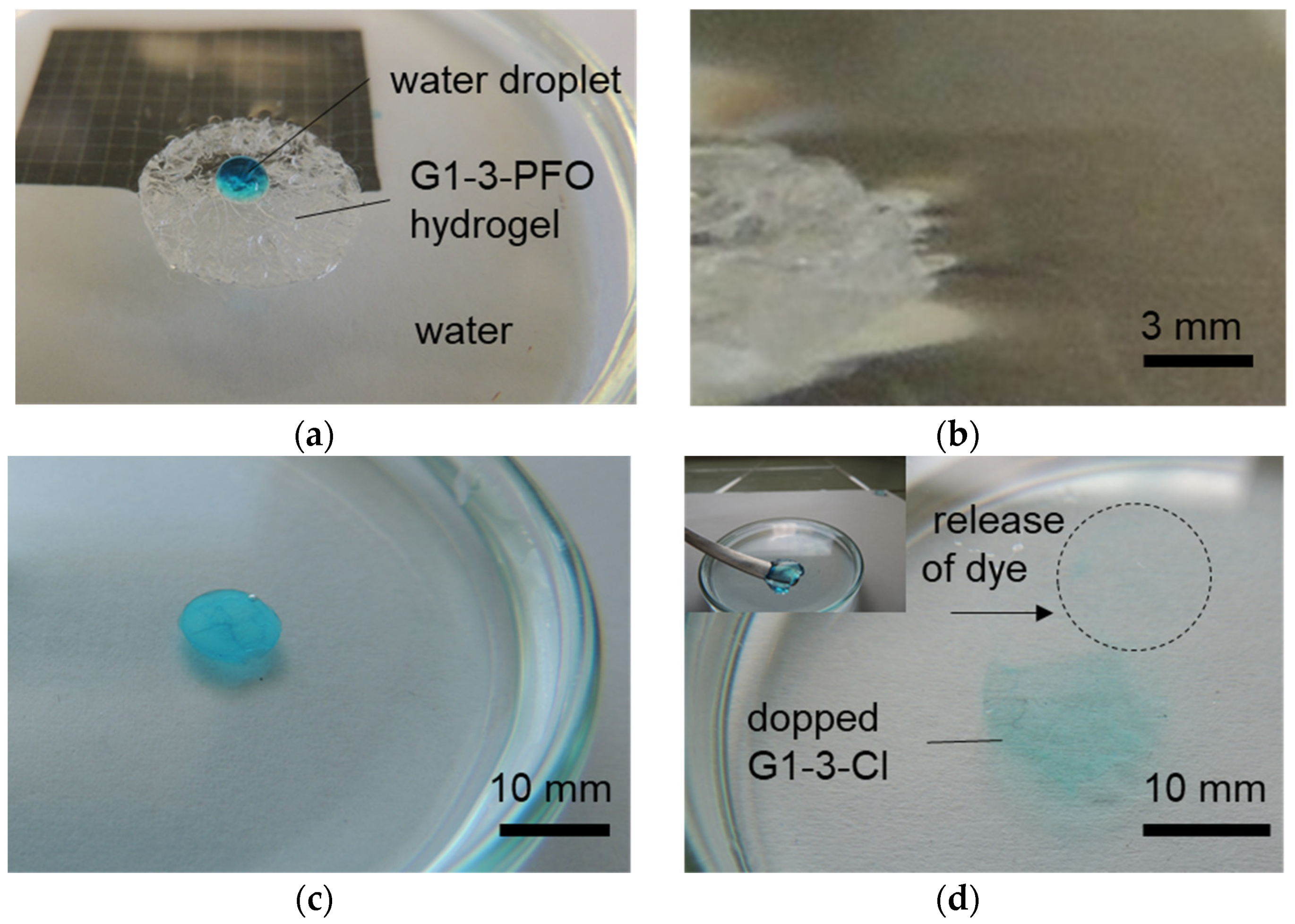 Gels 07 00109 g006 550