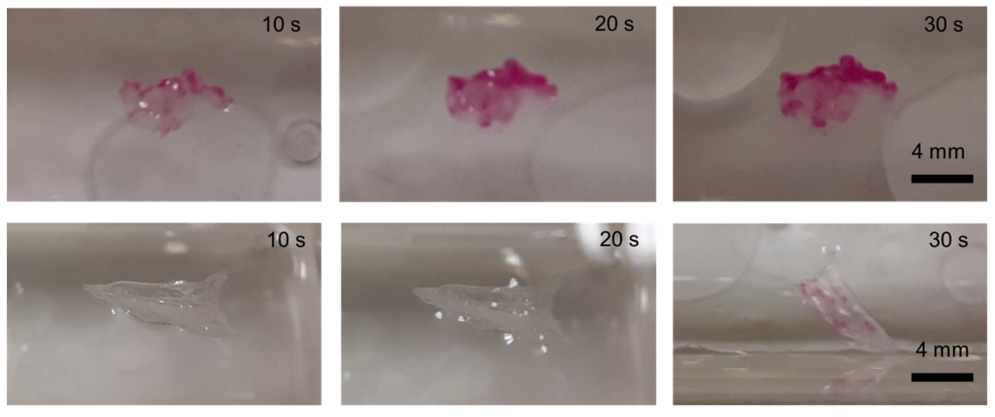 Gels 07 00109 g007 550