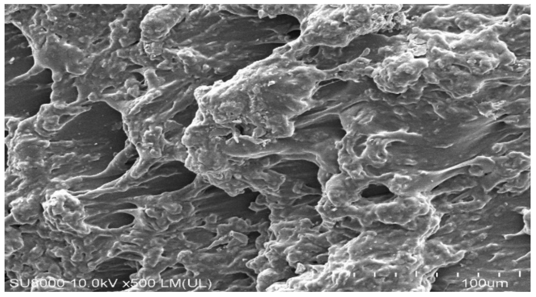 Gels 07 00110 g001 550