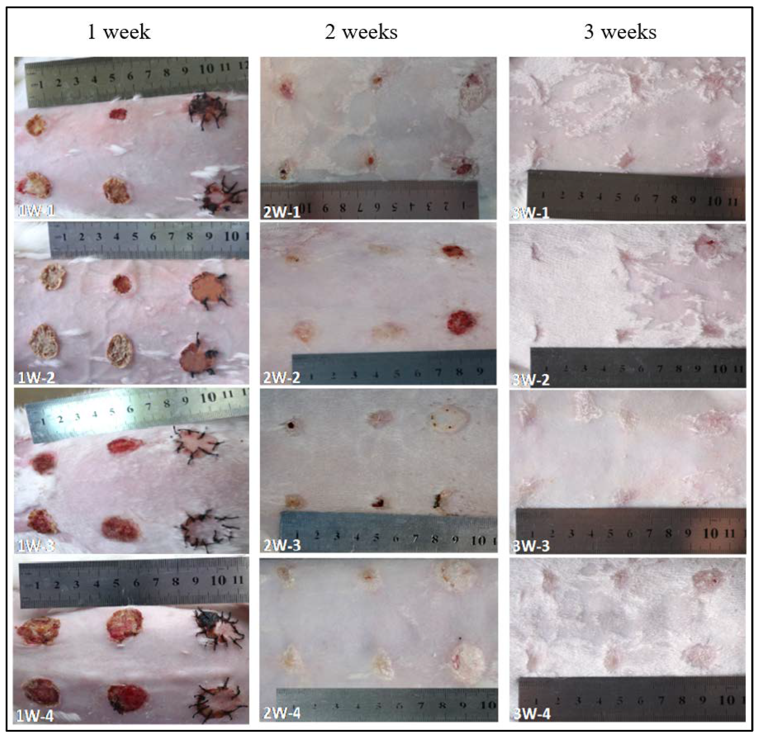 Gels 07 00115 g005 550