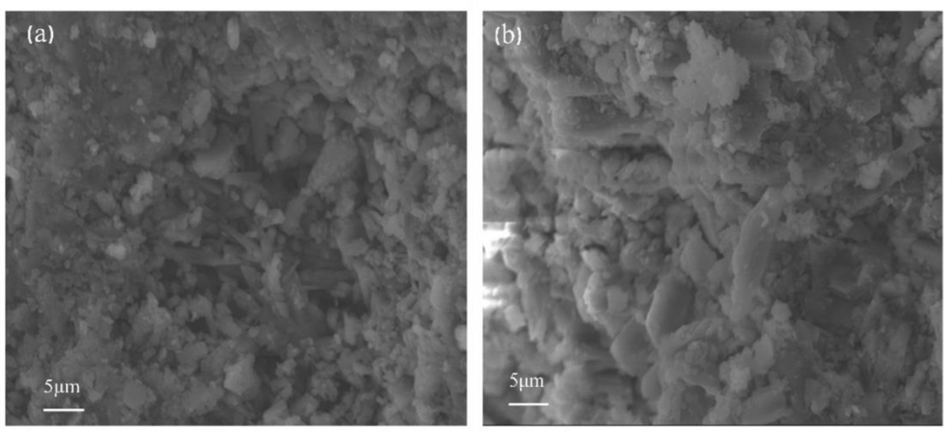 Gels 07 00117 g002 Gels 07 00117 g002