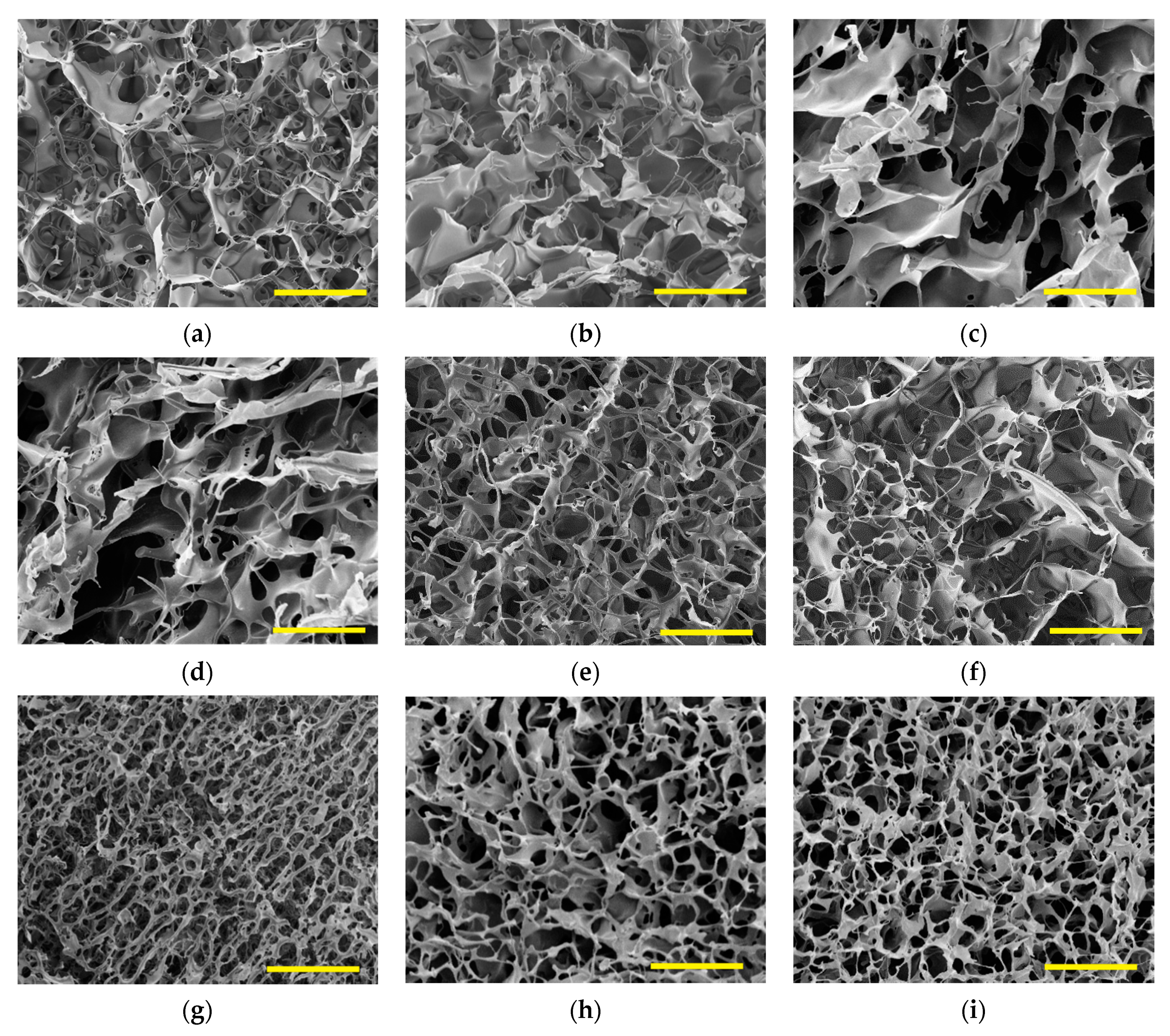 Gels 07 00118 g003 550
