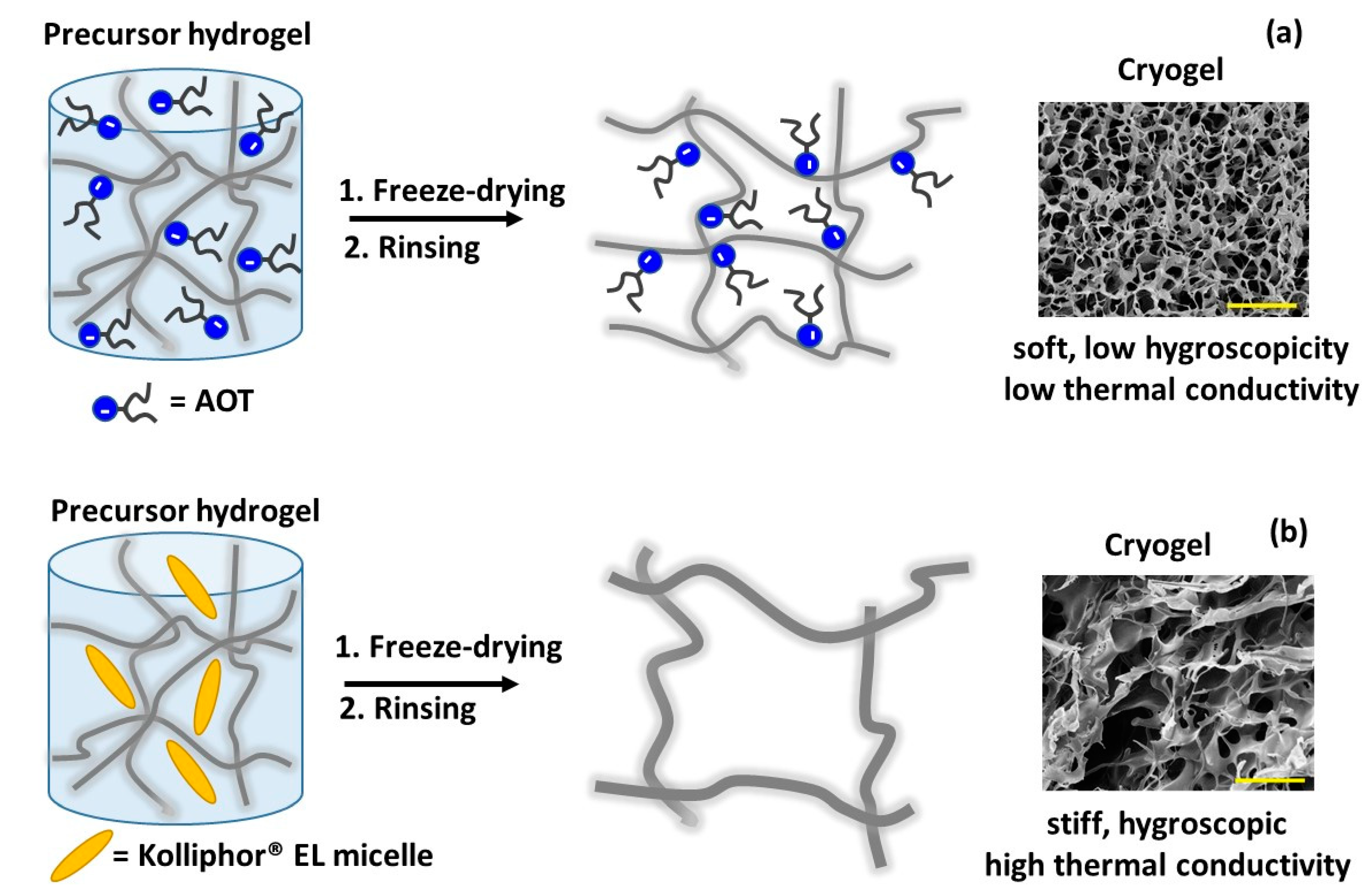 Gels 07 00118 g008 550