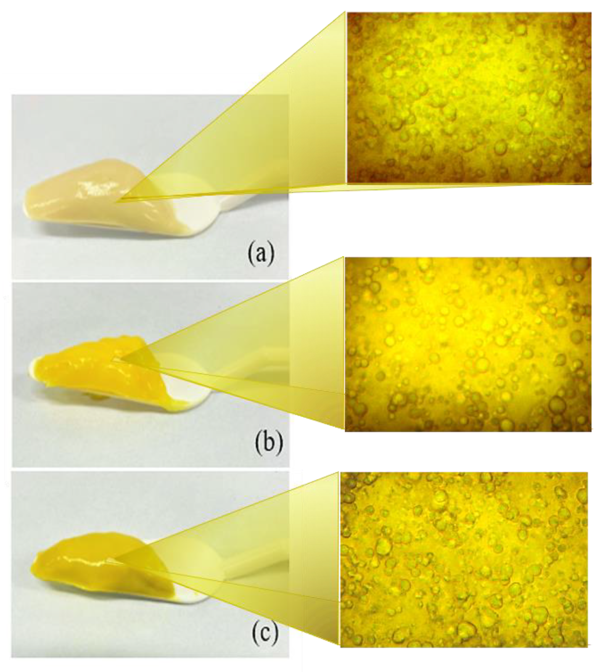 Gels 07 00120 g001 Gels 07 00120 g001