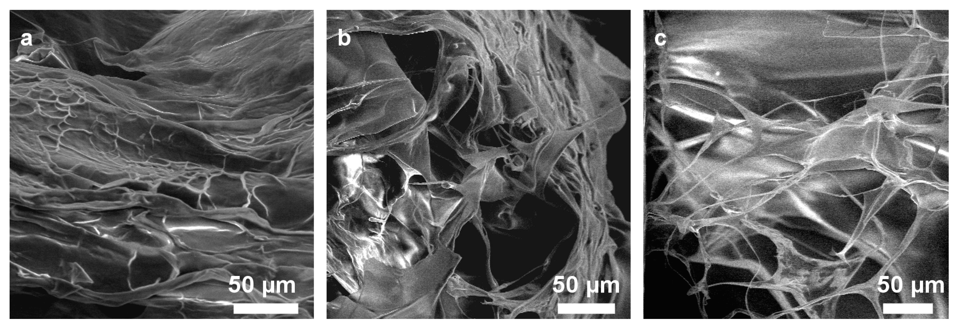 Gels 07 00124 g002 550