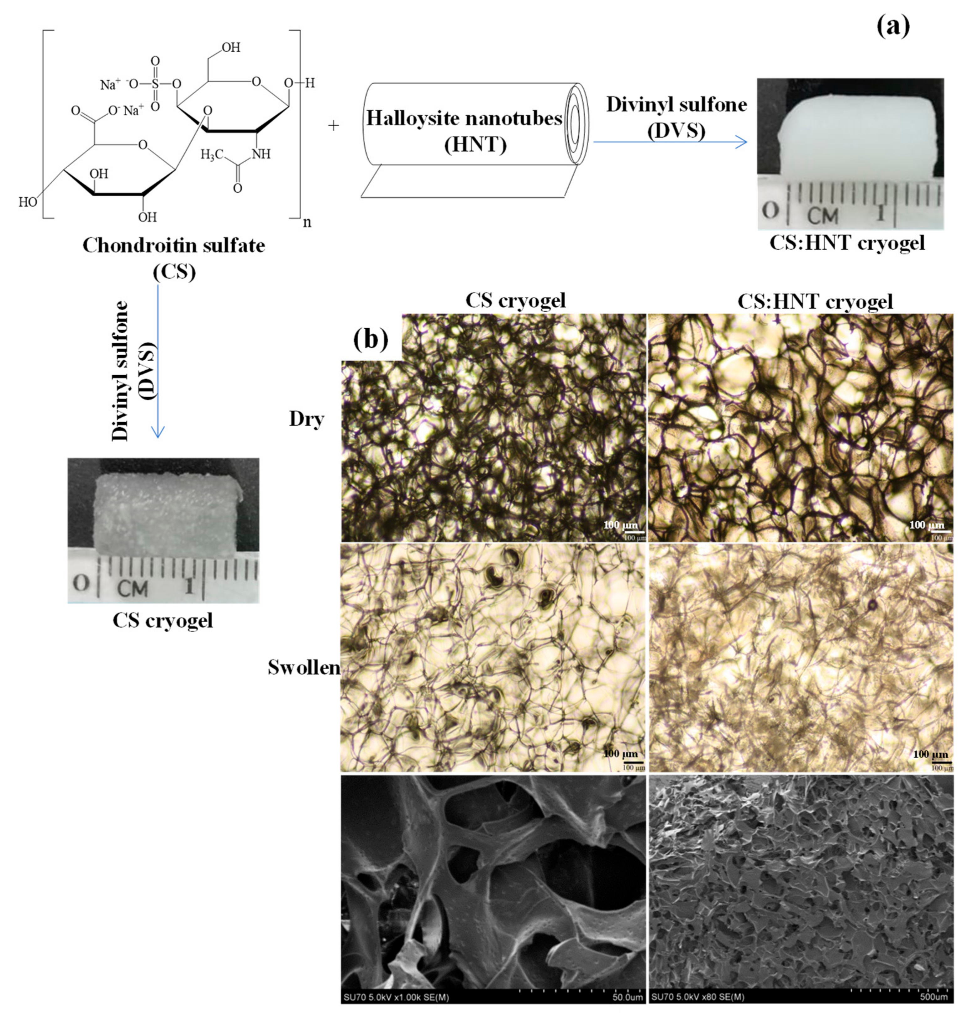 Gels 07 00127 g001 550