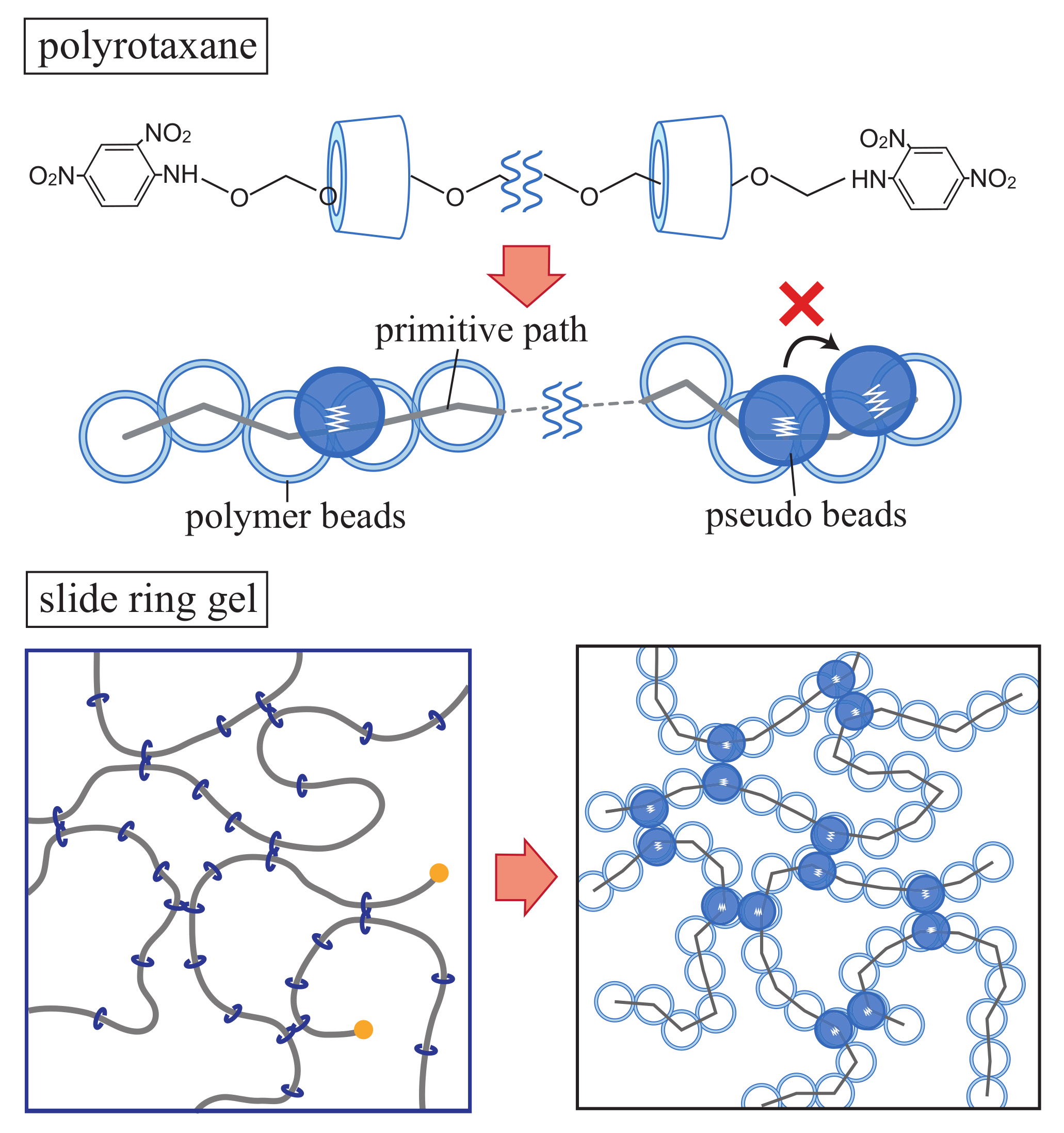 Gels 07 00129 g001 550