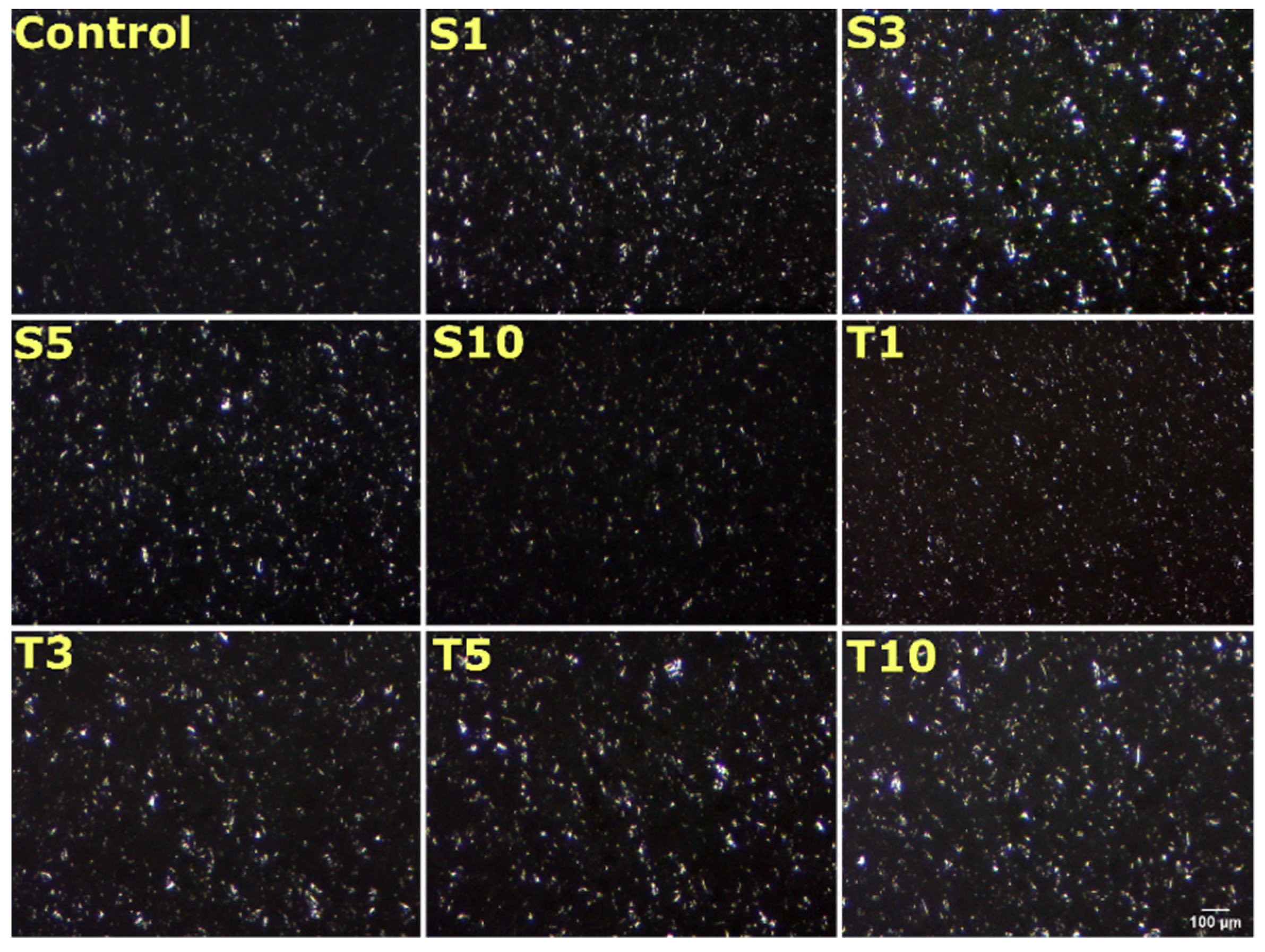 Gels 07 00133 g003 550