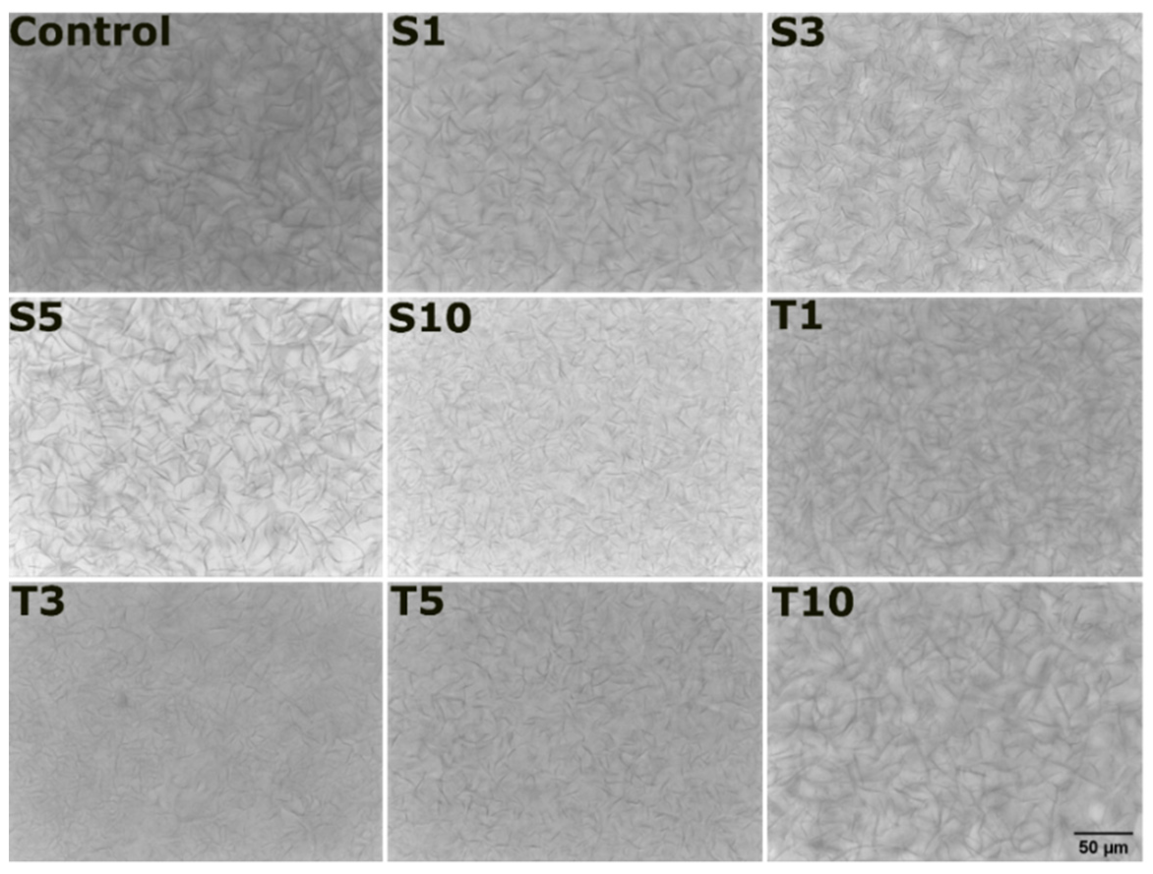 Gels 07 00133 g004 550