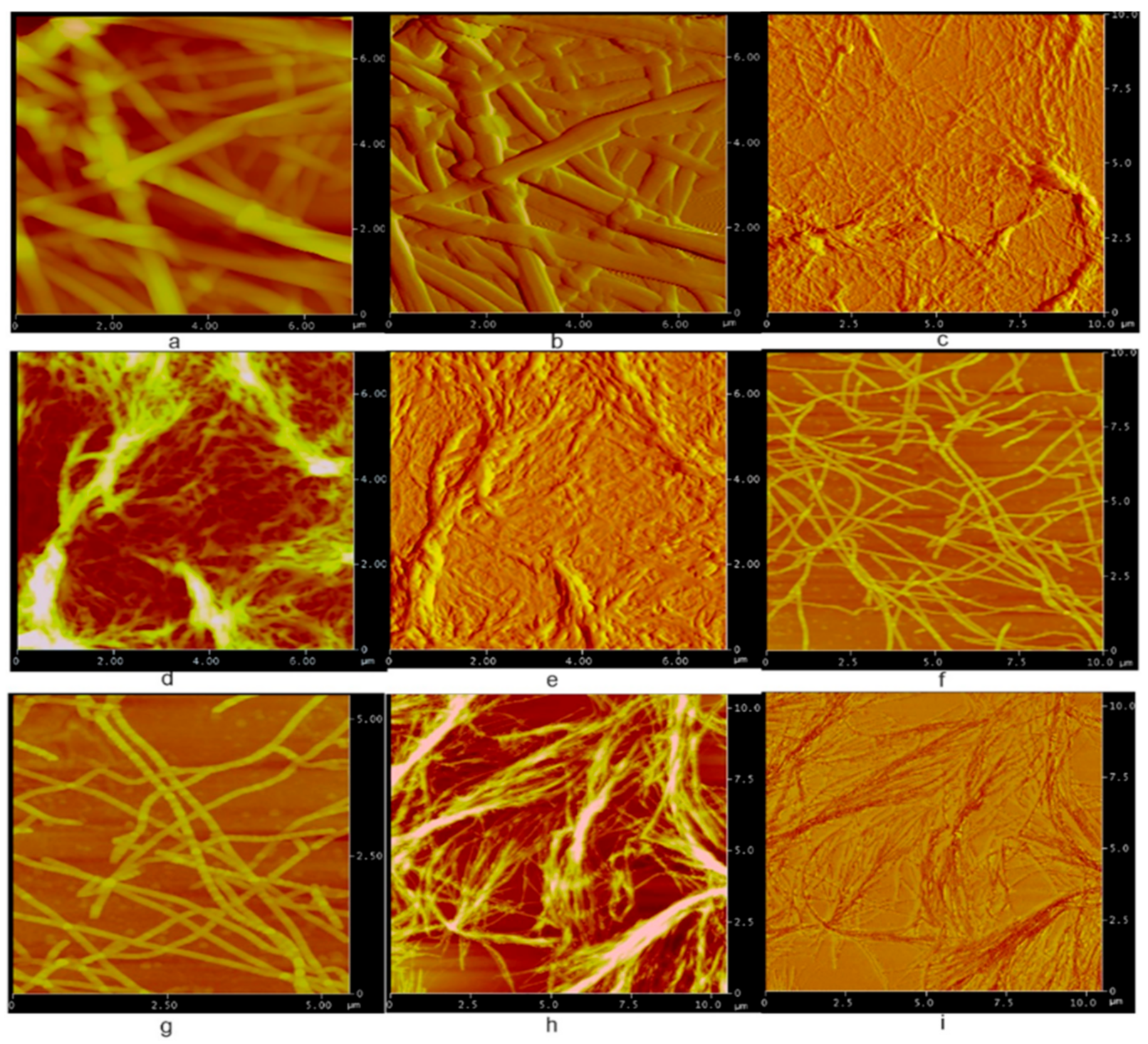 Gels 07 00134 g005 550