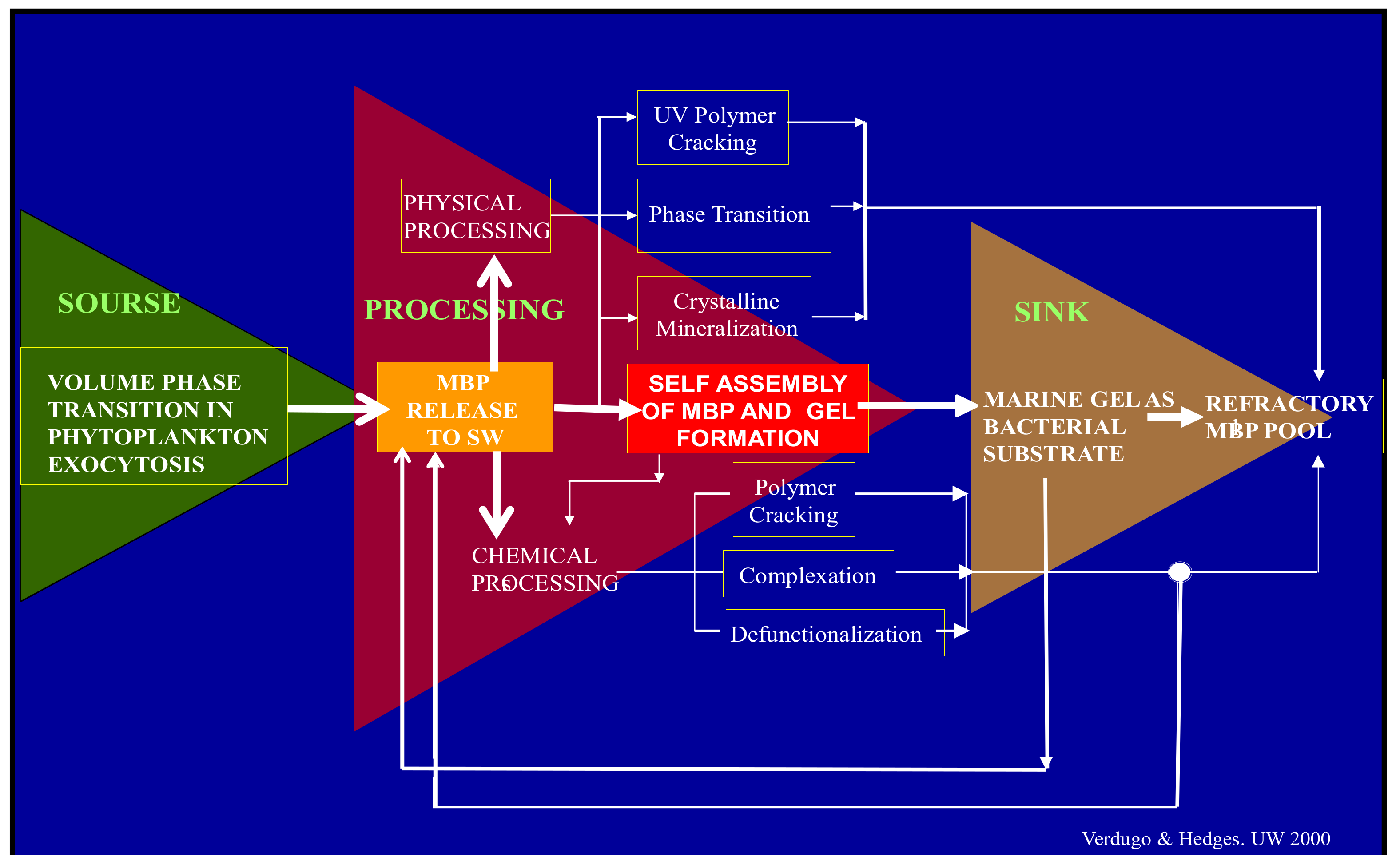 Gels 07 00136 g001 550