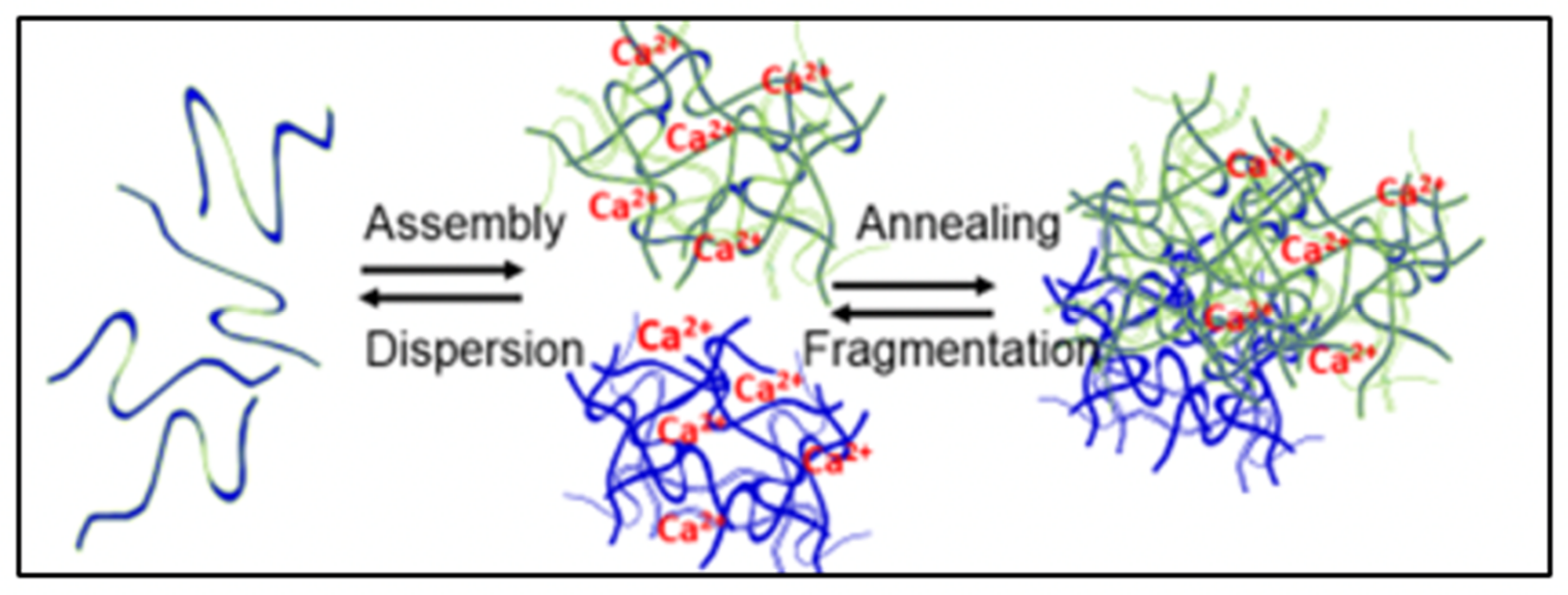 Gels 07 00136 g002 550