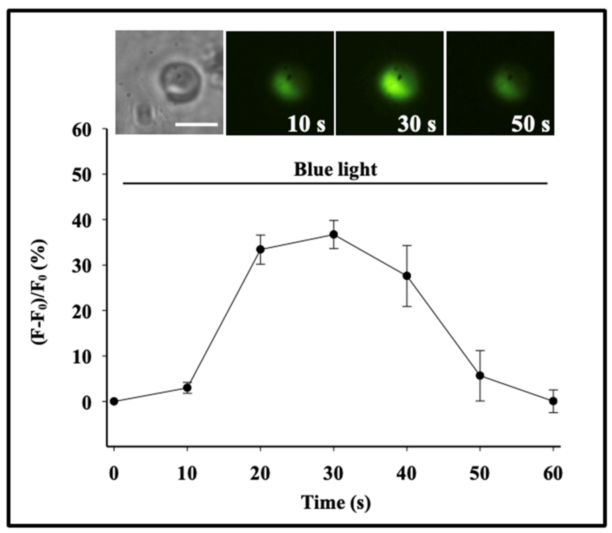 Gels 07 00136 g005 550