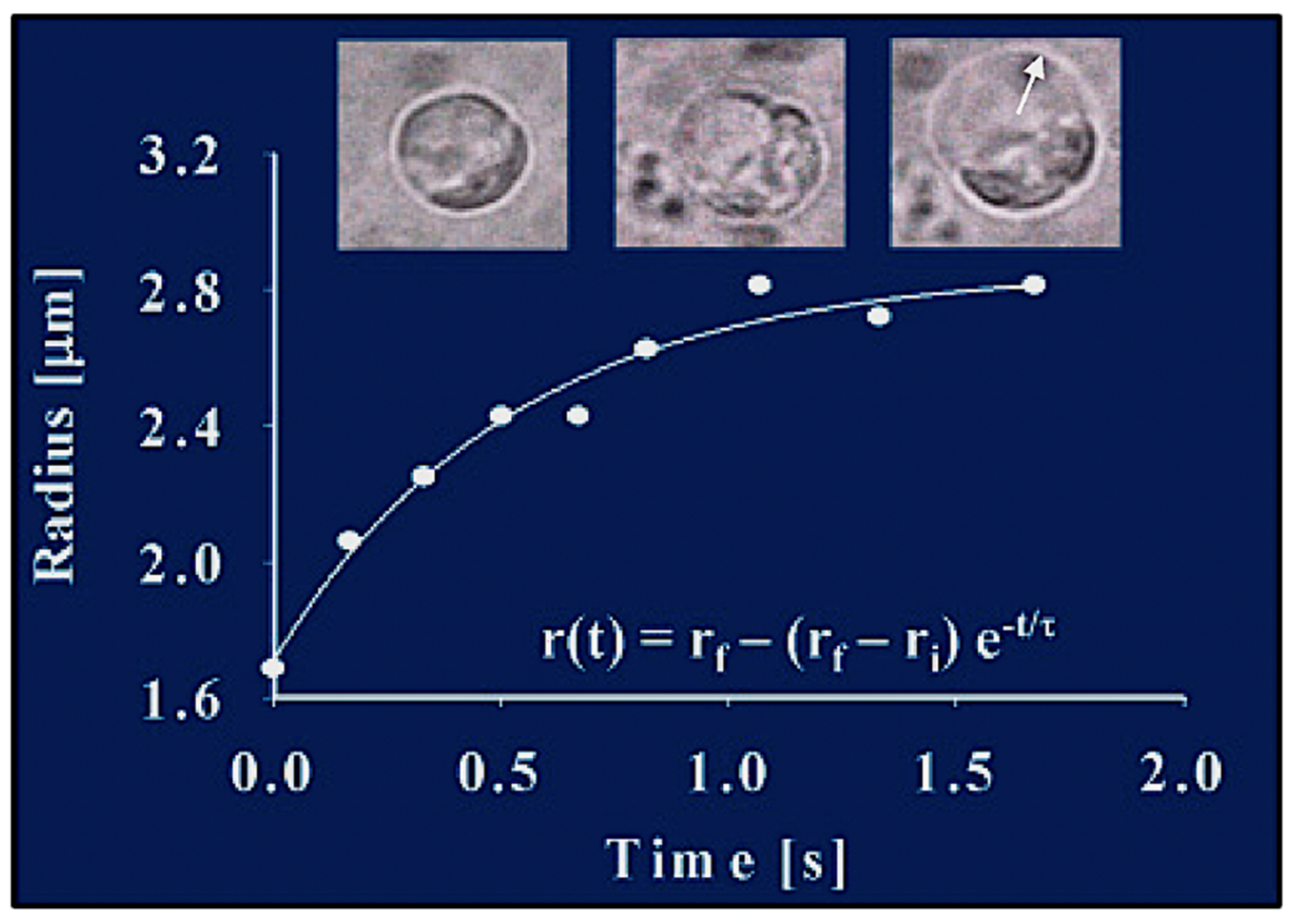 Gels 07 00136 g006 550