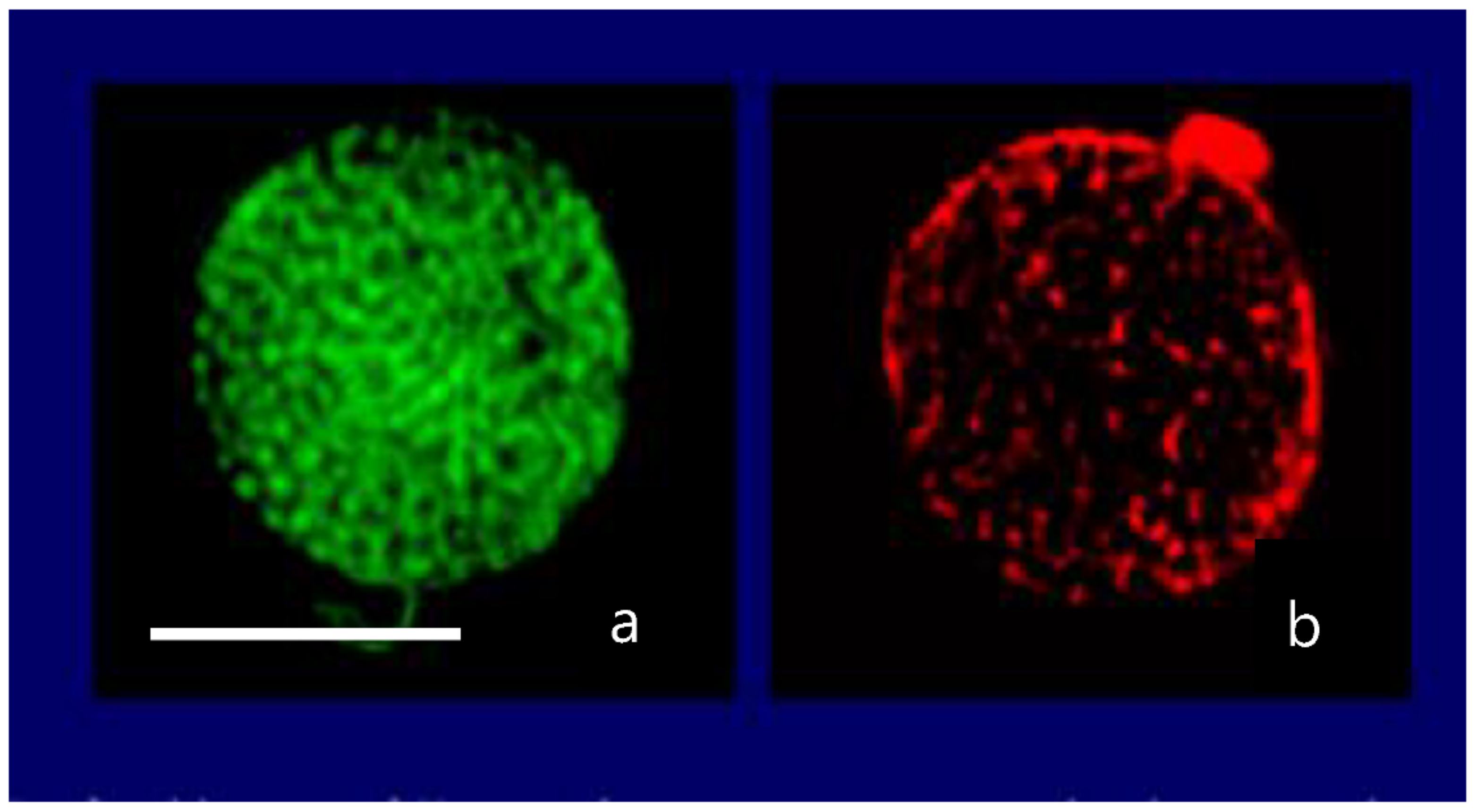 Gels 07 00136 g011 550