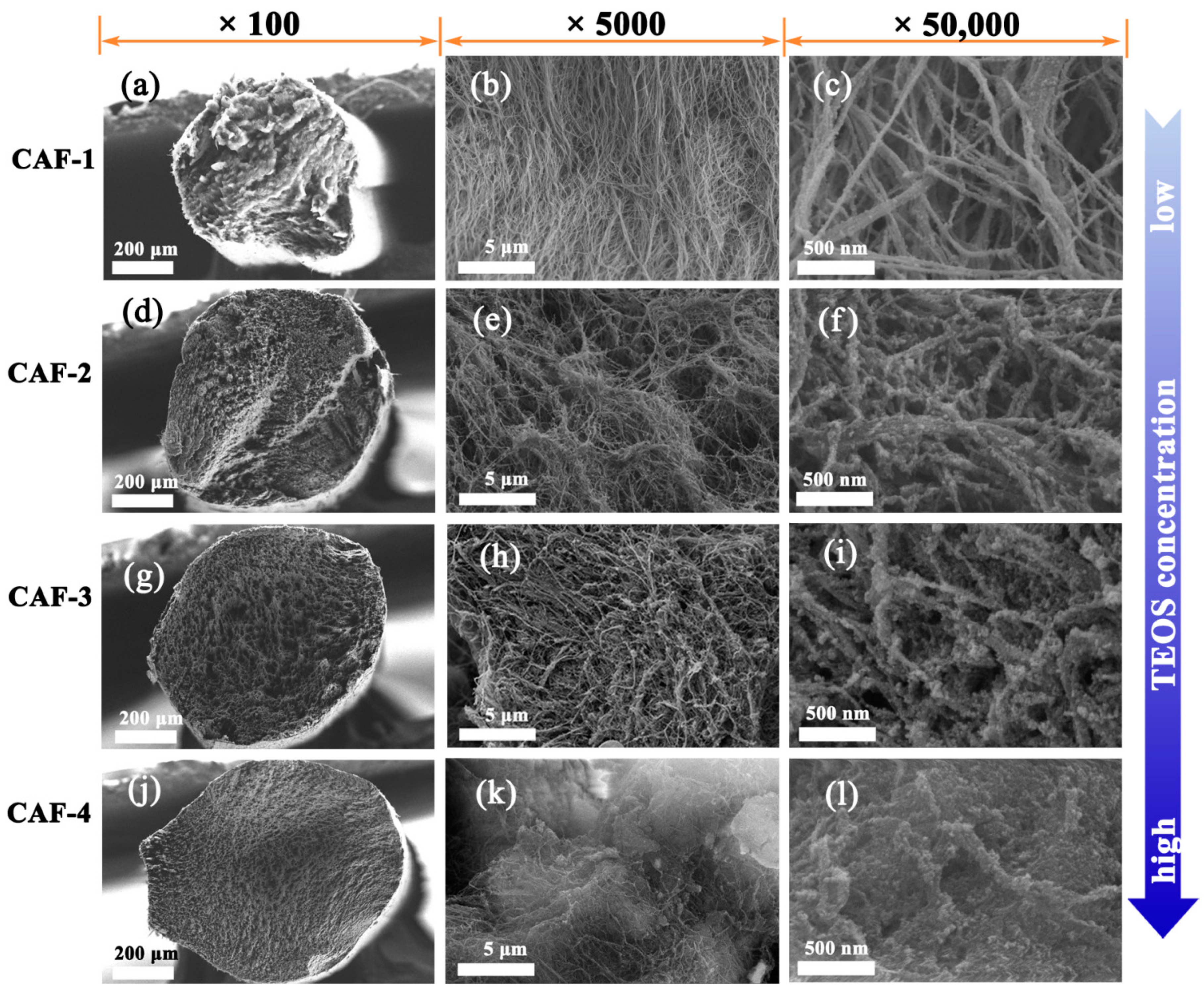 Gels 07 00145 g003 550