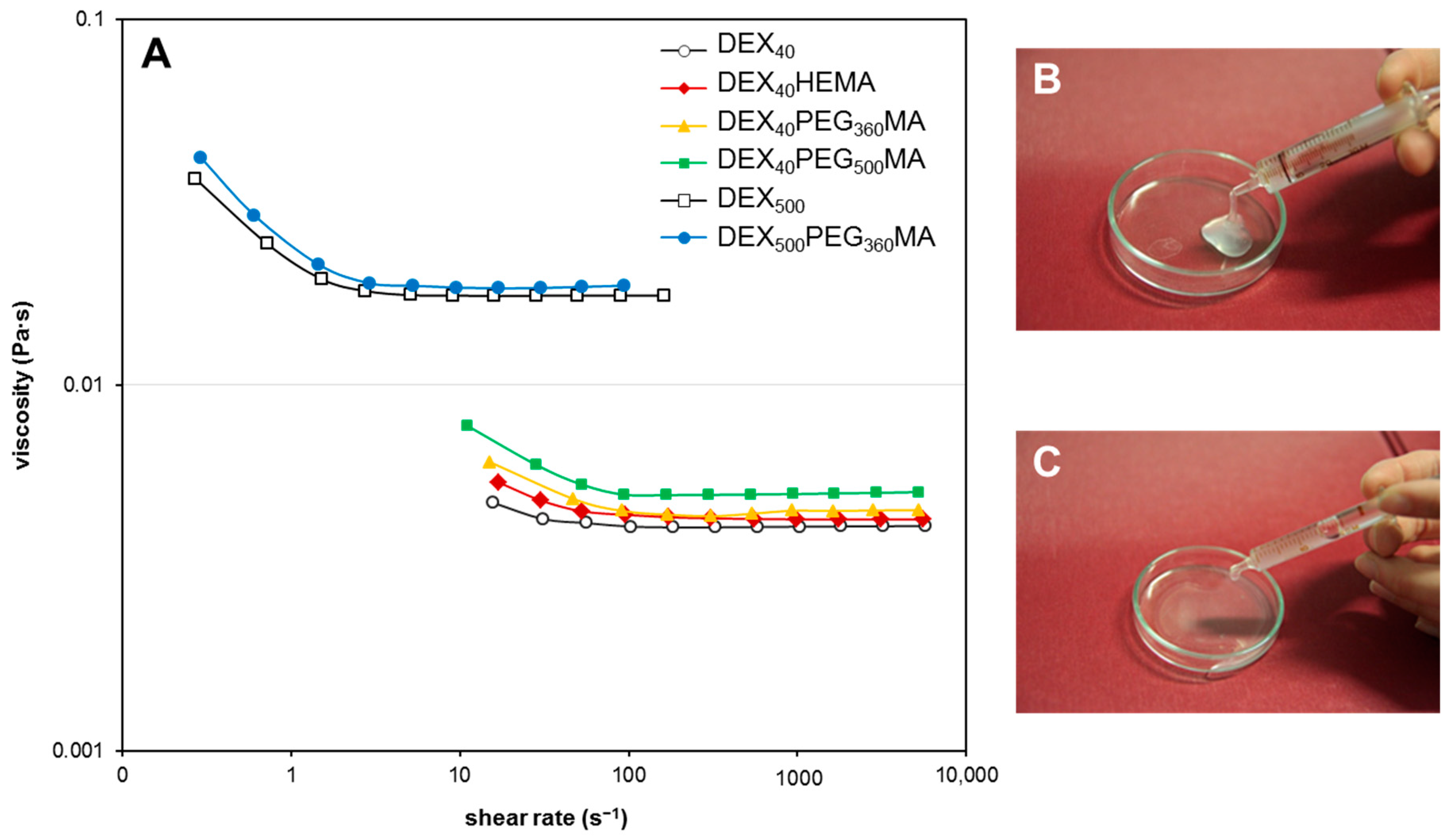 Gels 07 00150 g005 550