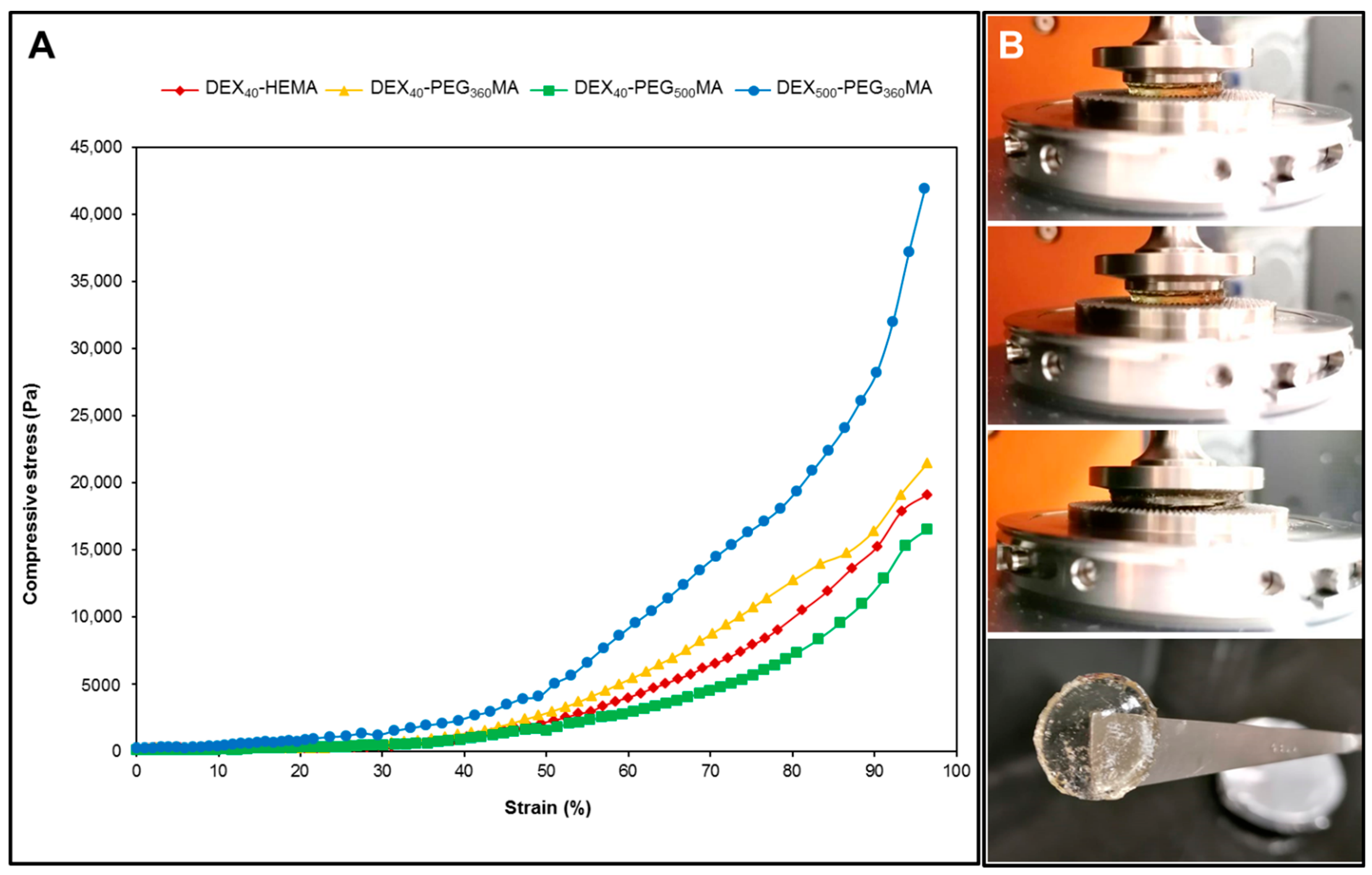 Gels 07 00150 g007 550