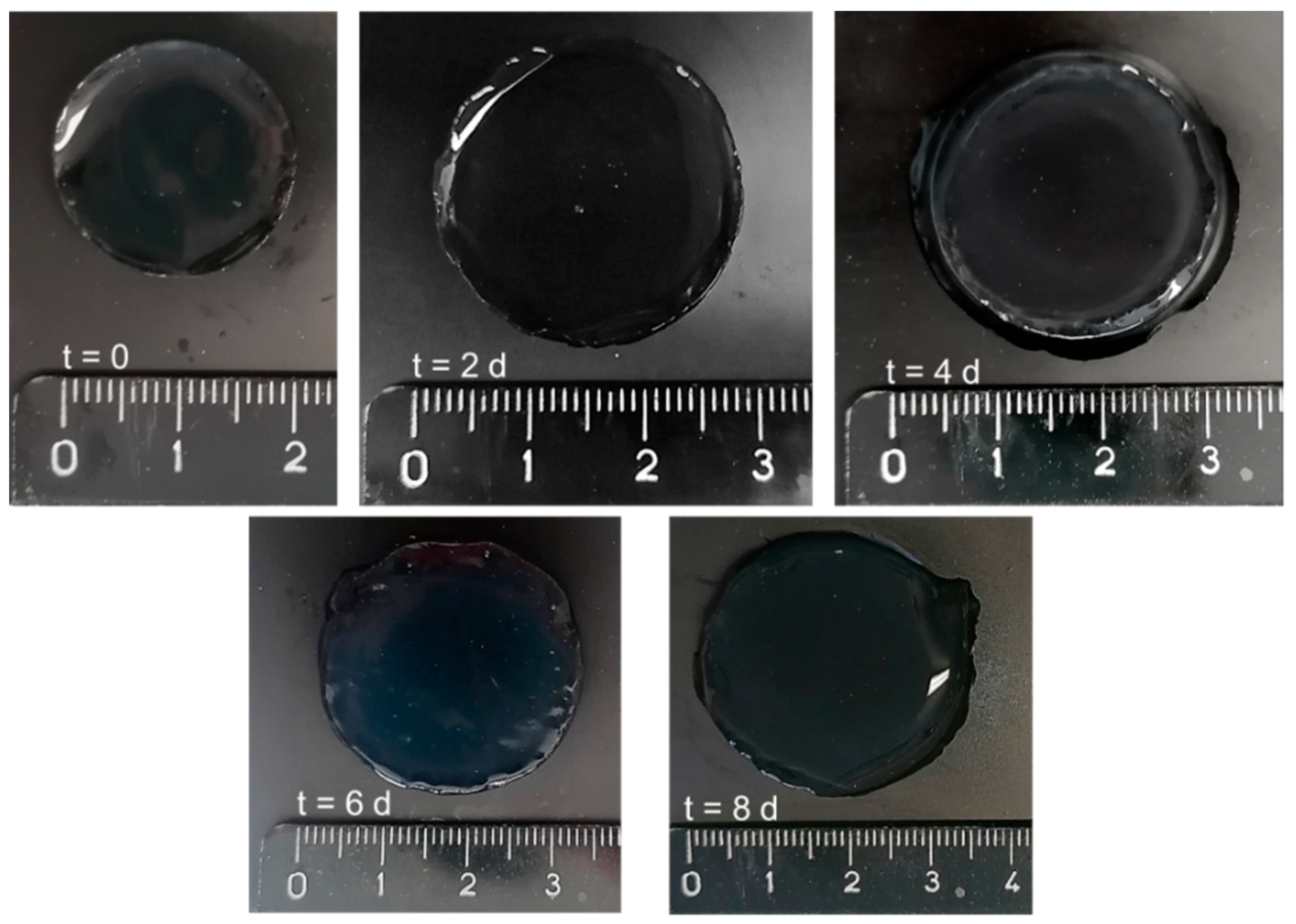 Gels 07 00150 g009 550