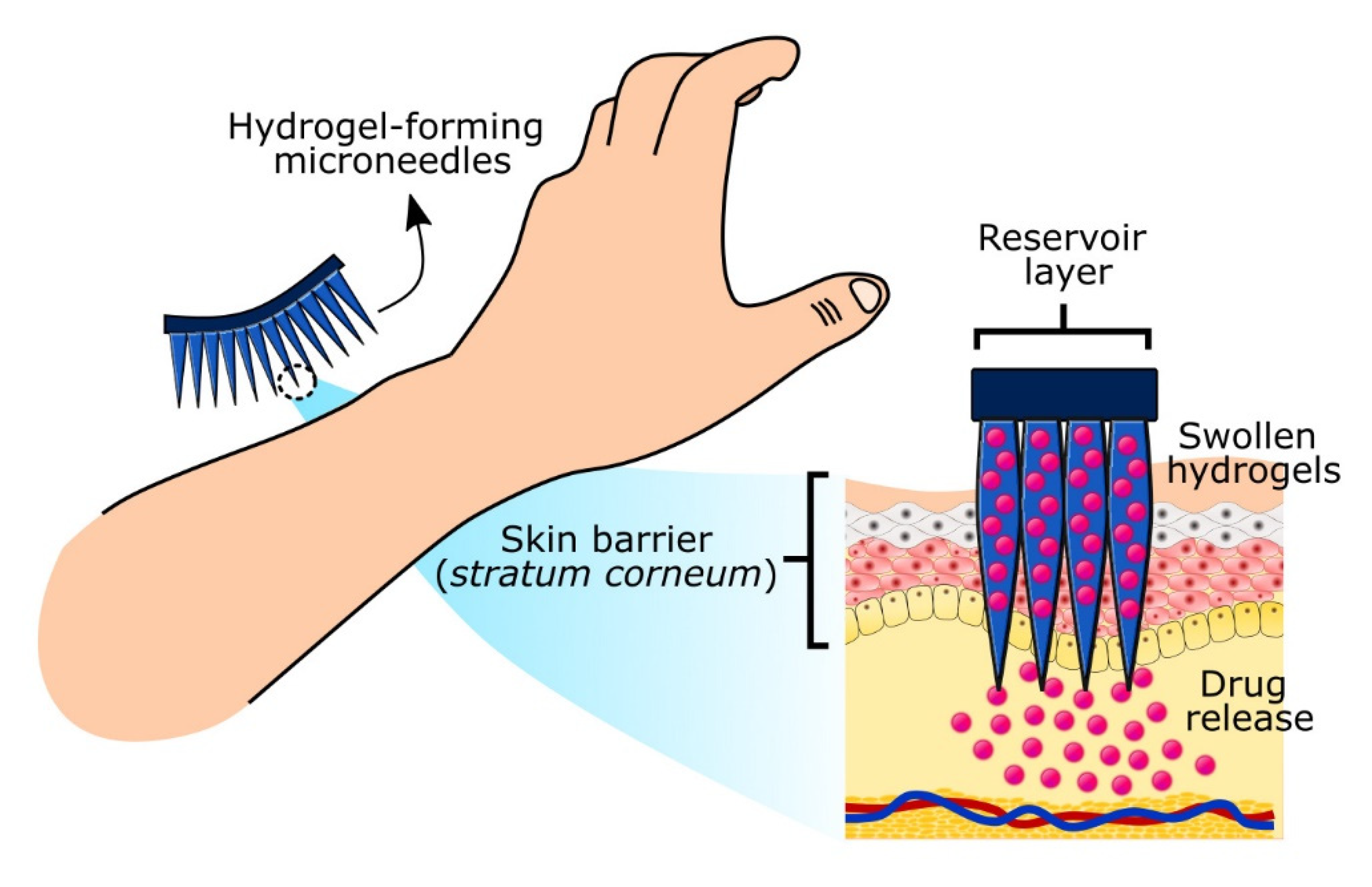 Gels 07 00153 g003 Gels 07 00153 g003