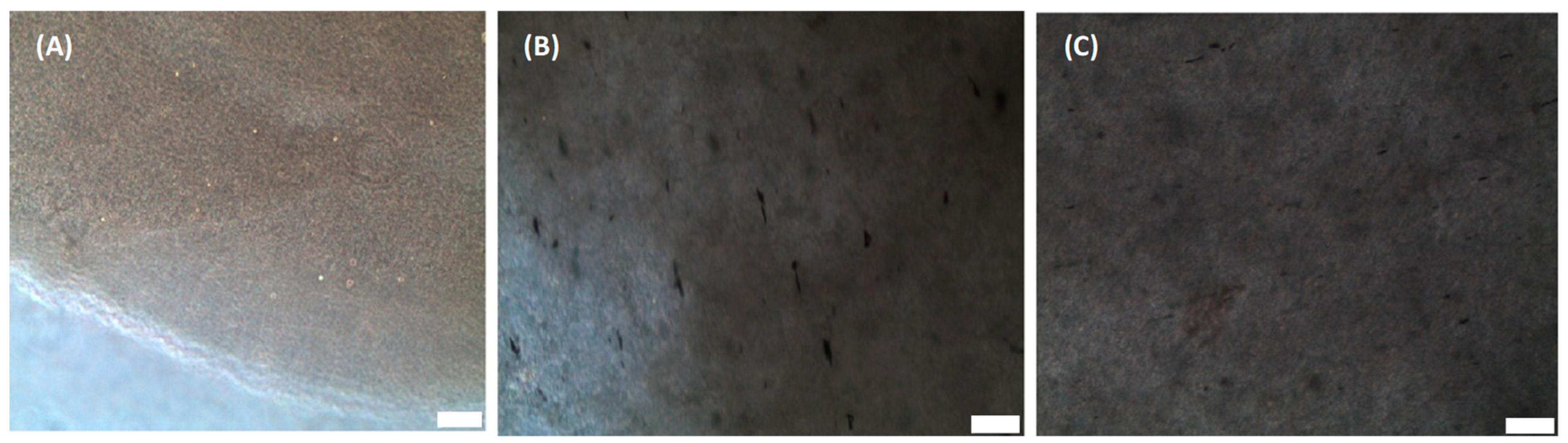 Gels 07 00154 g001 550