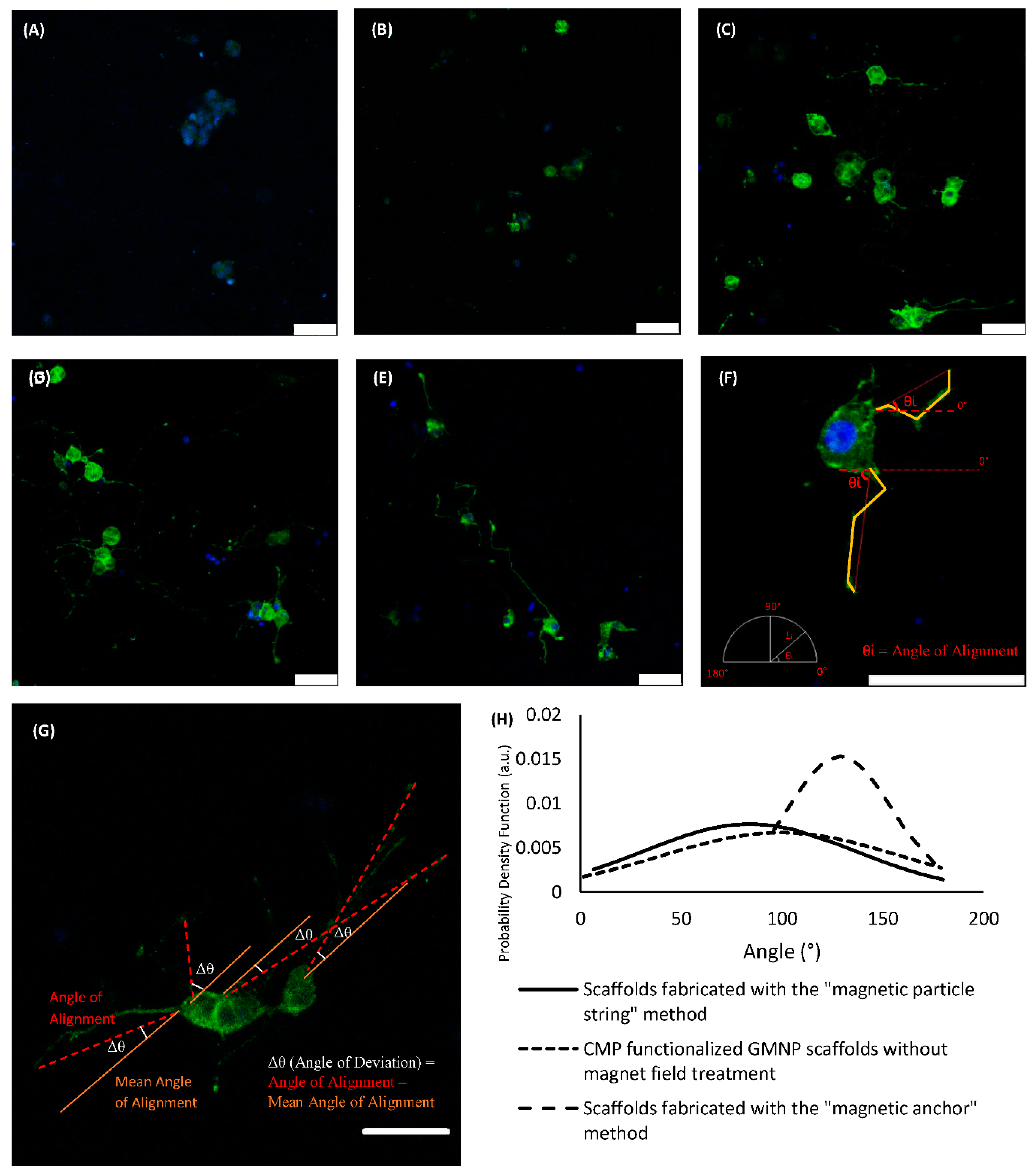 Gels 07 00154 g005 550