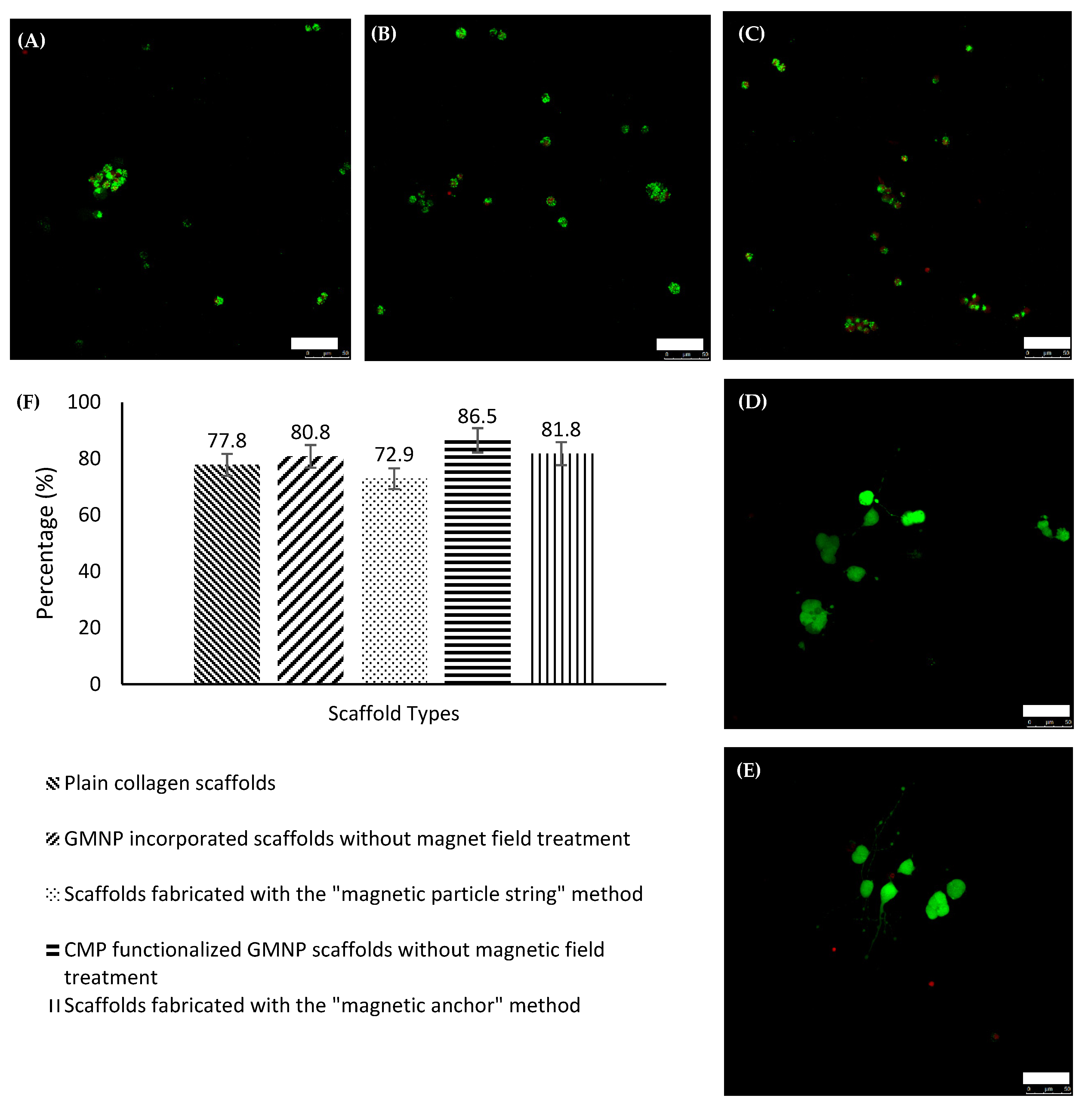 Gels 07 00154 g007 550