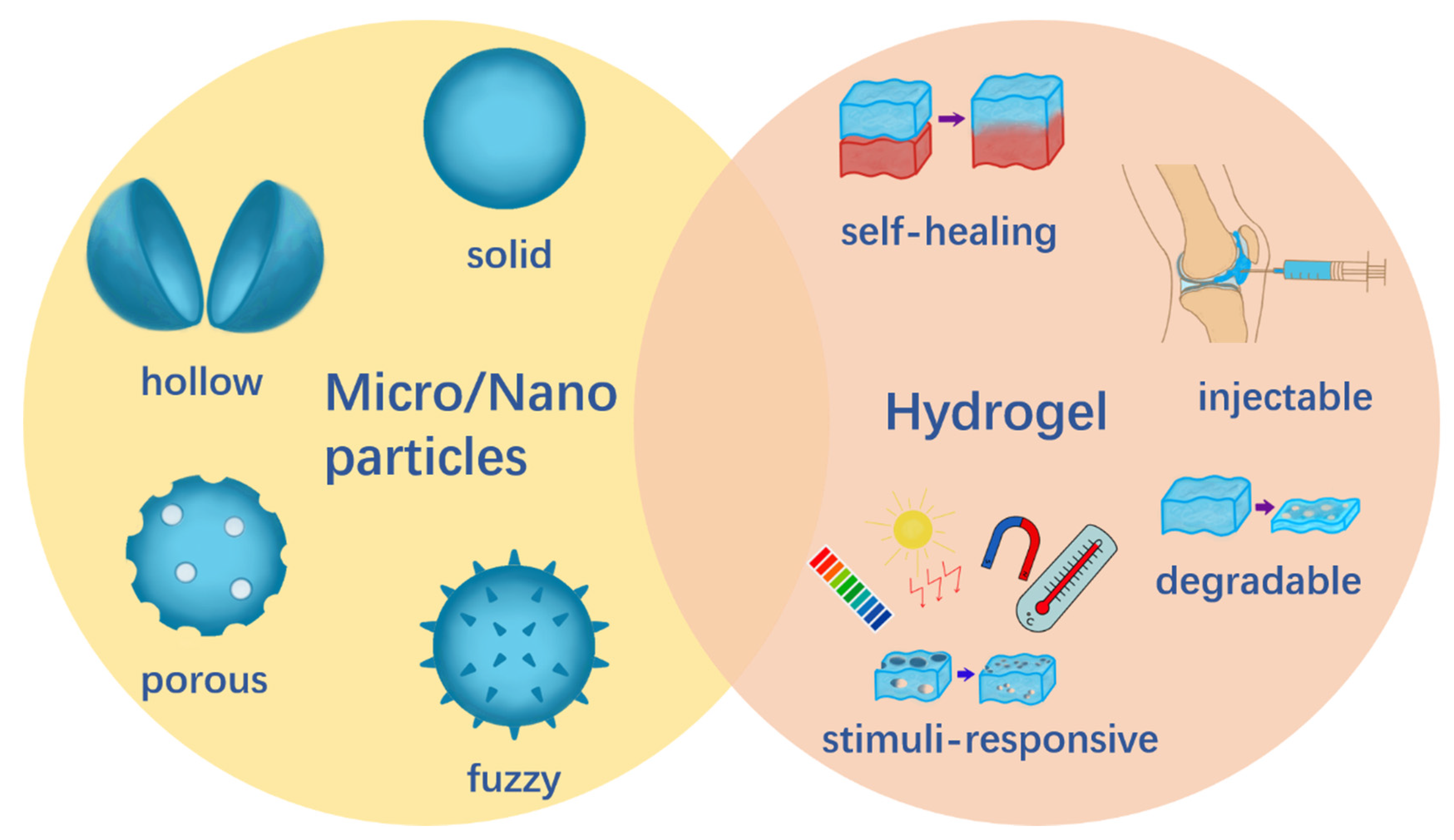 Gels 07 00155 g002 550
