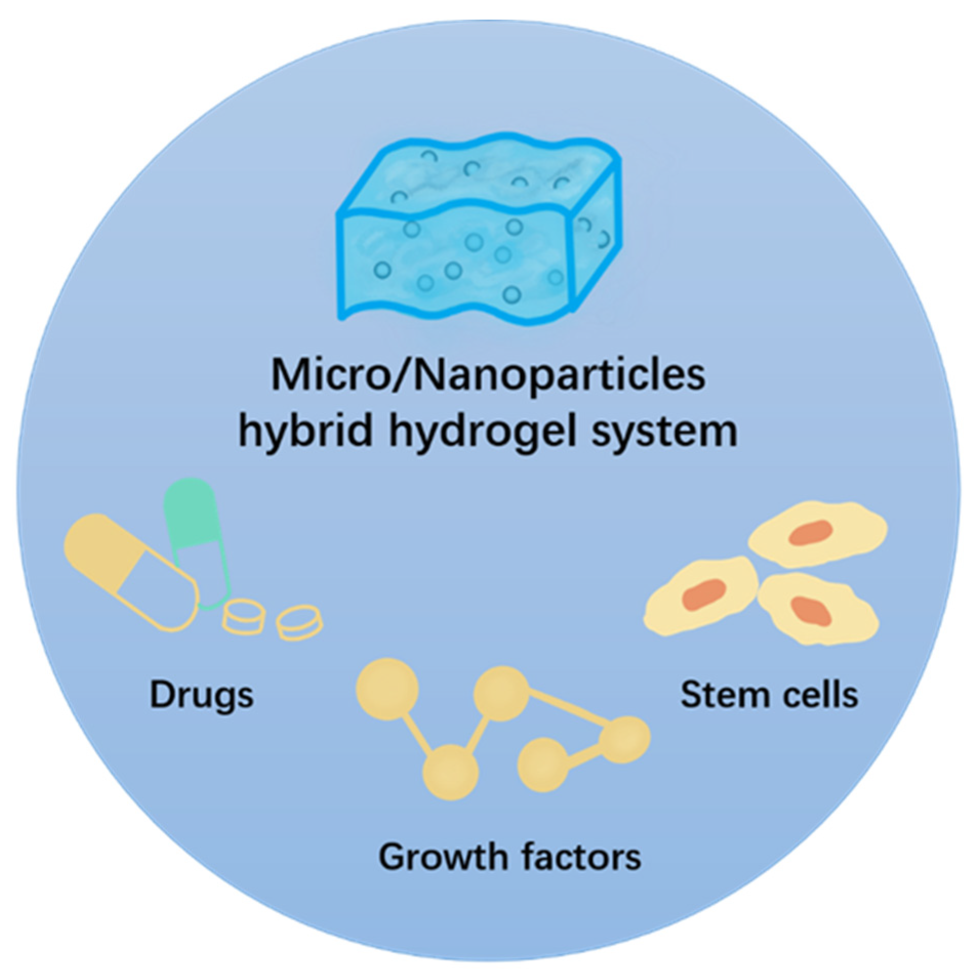 Gels 07 00155 g003 550