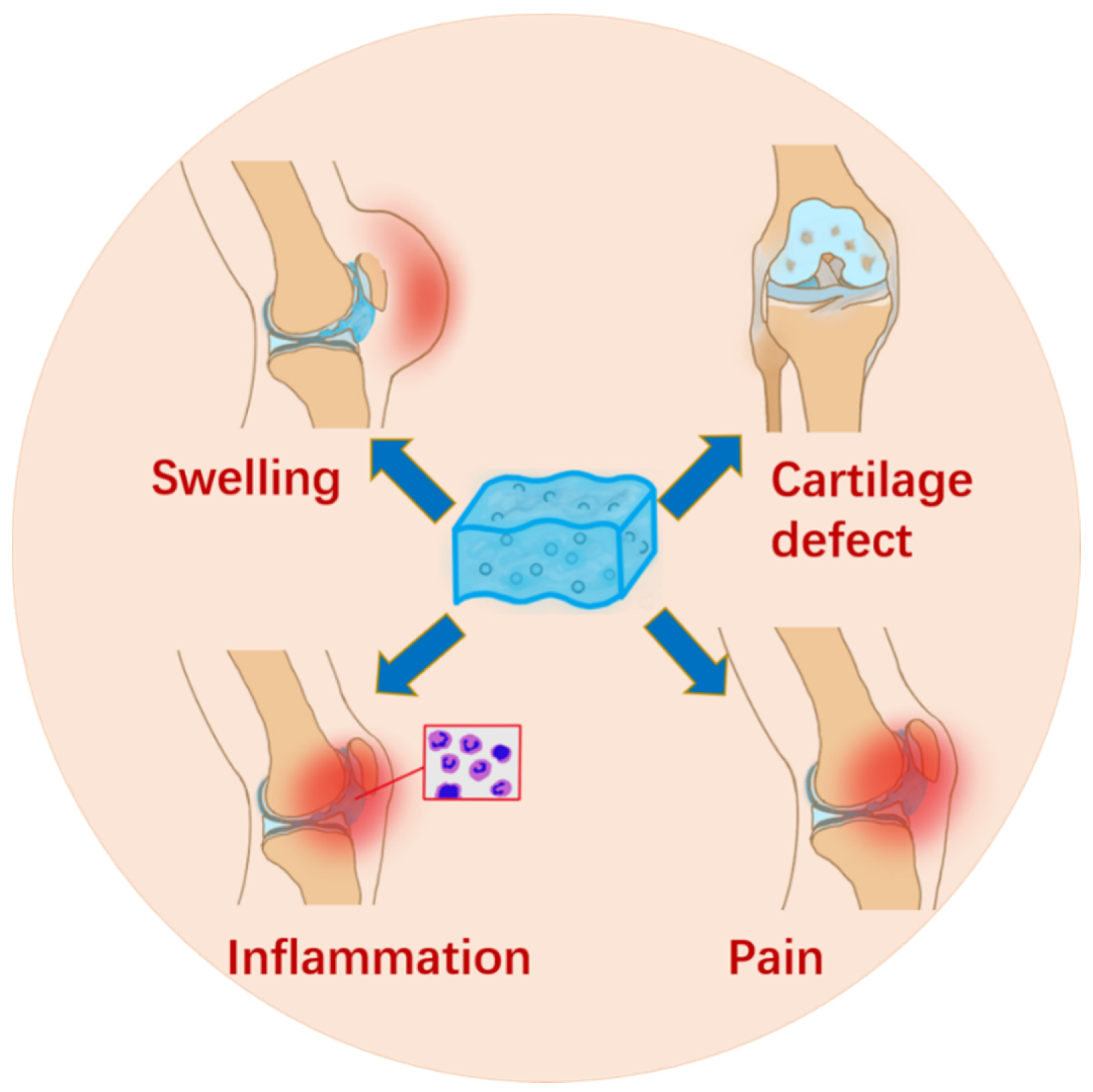 Gels 07 00155 g004 550