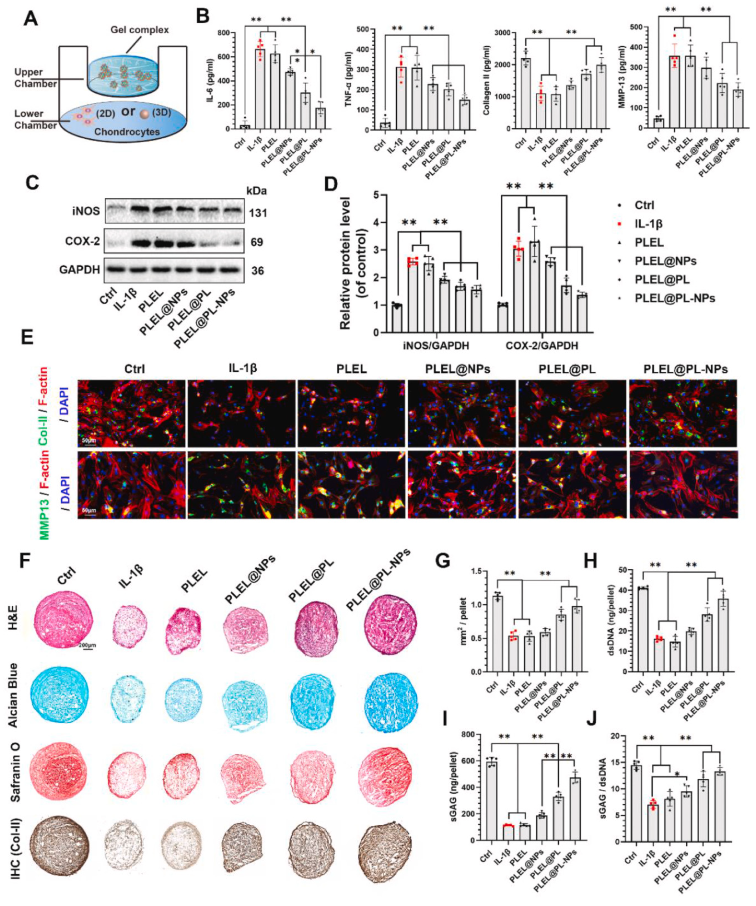 Gels 07 00155 g006 550