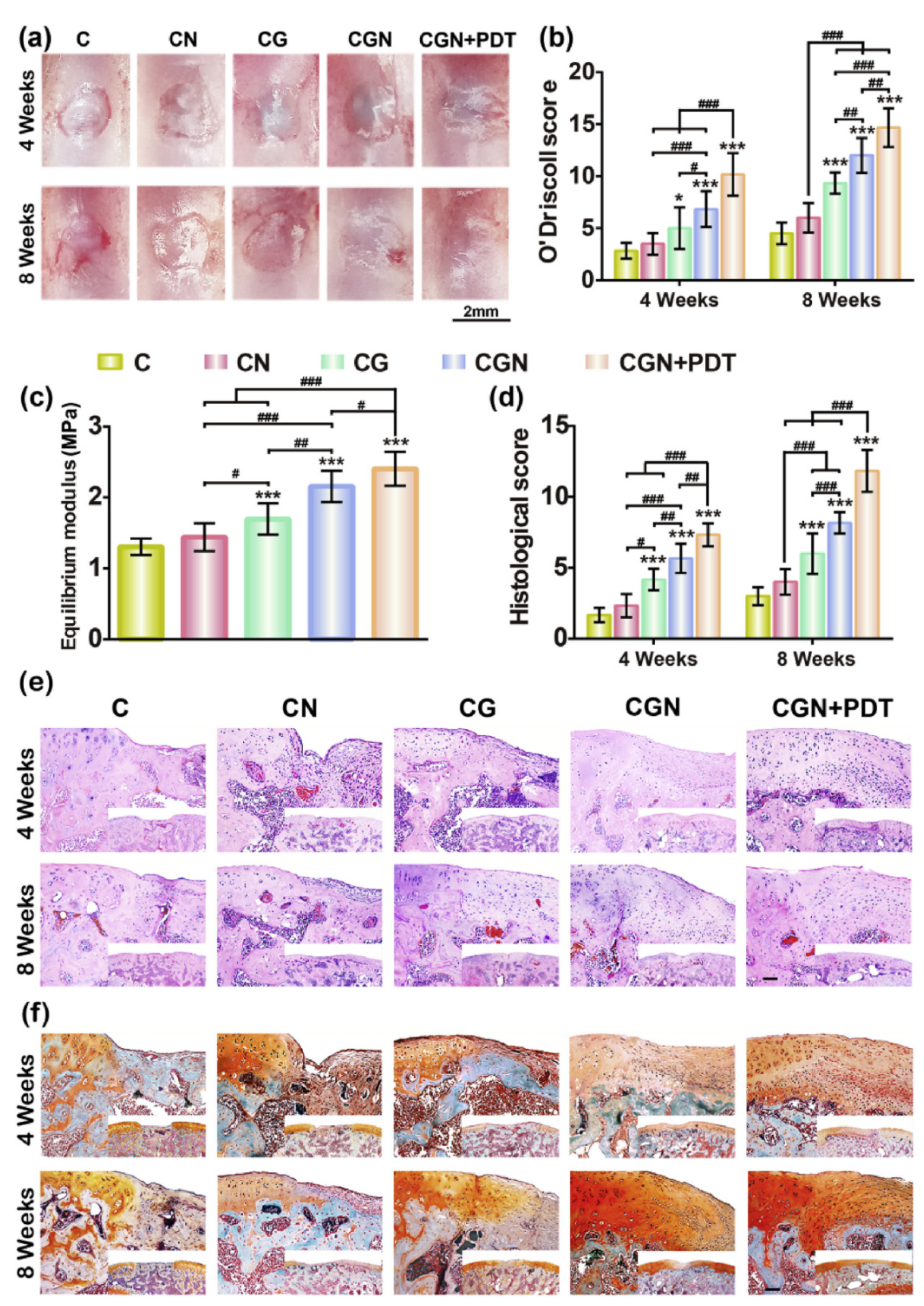 Gels 07 00155 g007 550