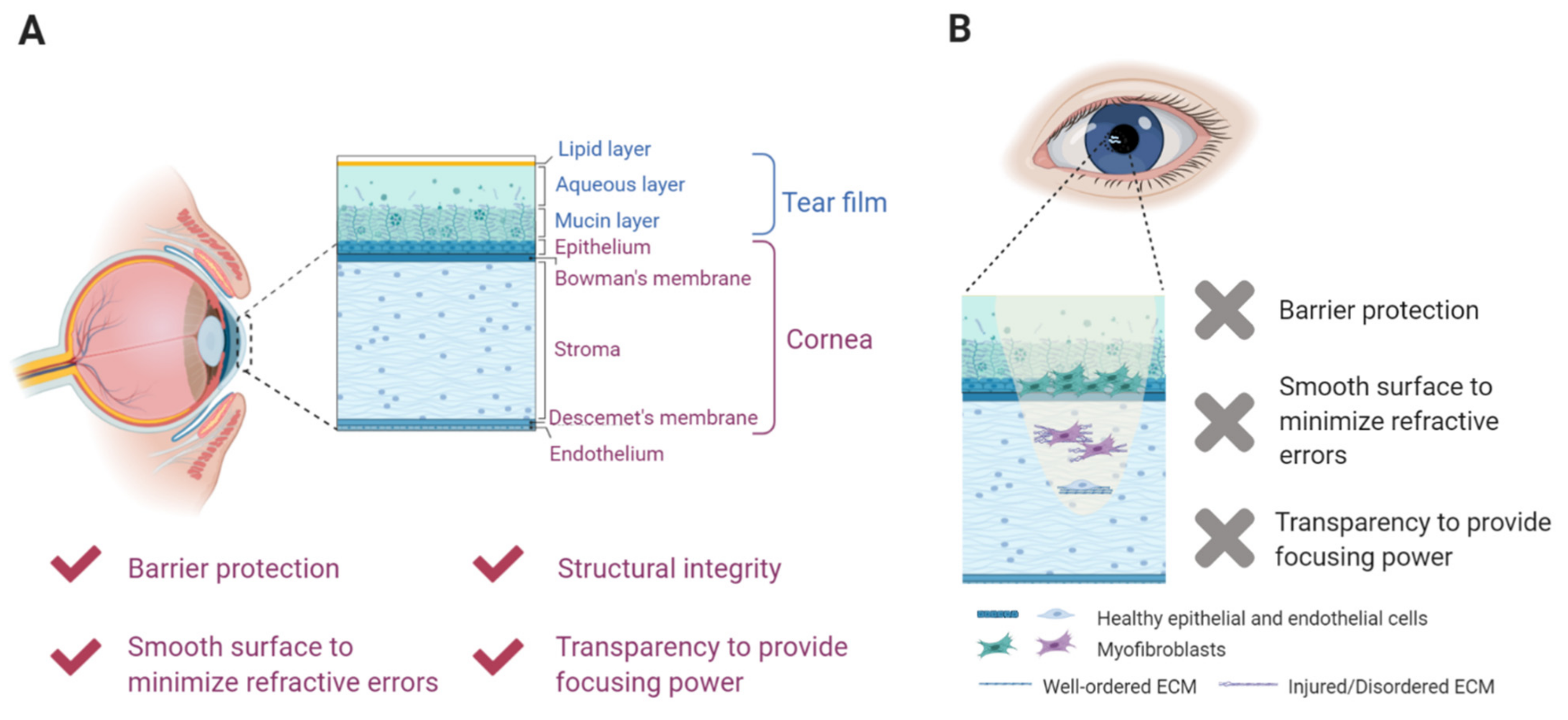 Gels 07 00163 g001 550