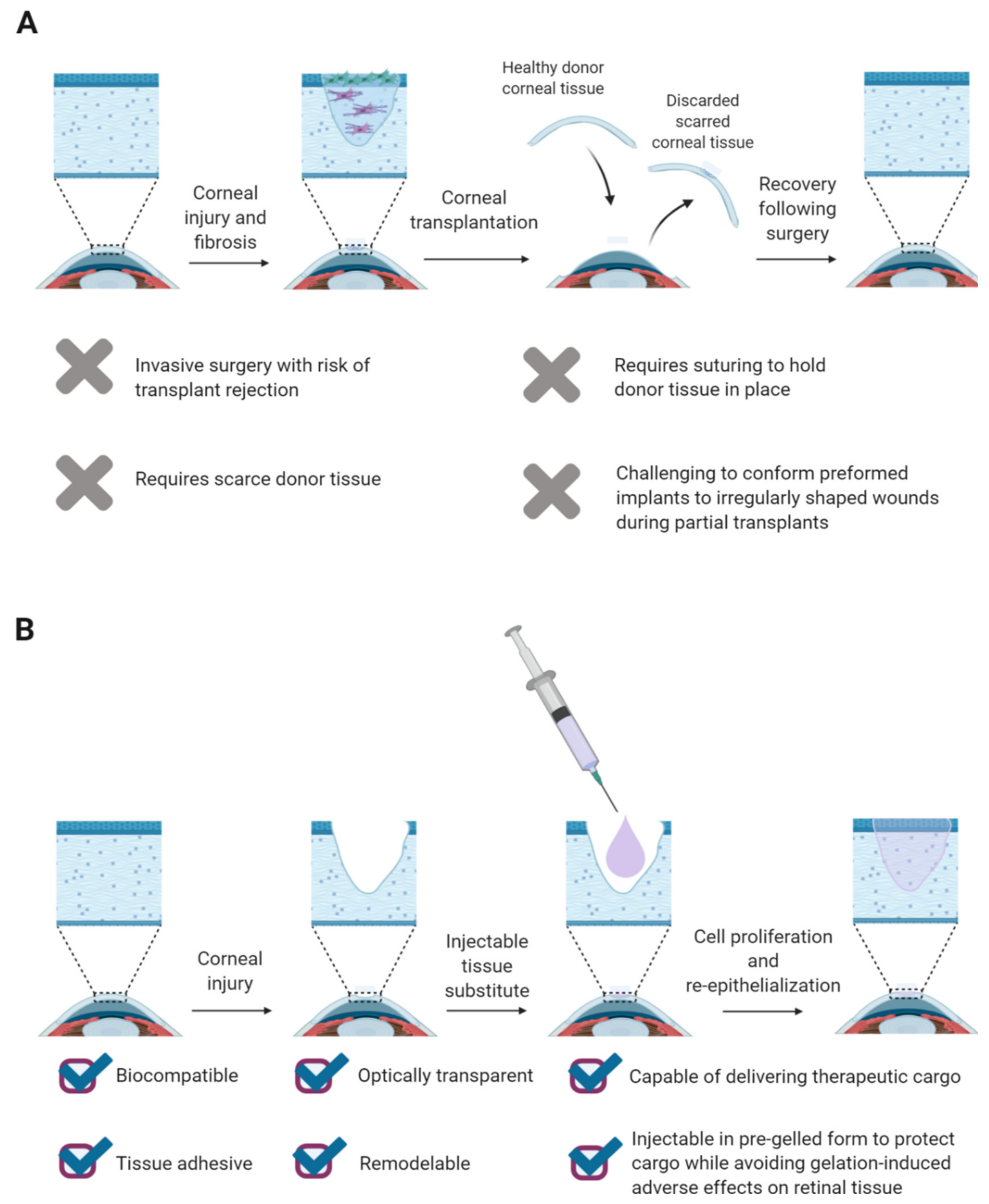 Gels 07 00163 g002 550