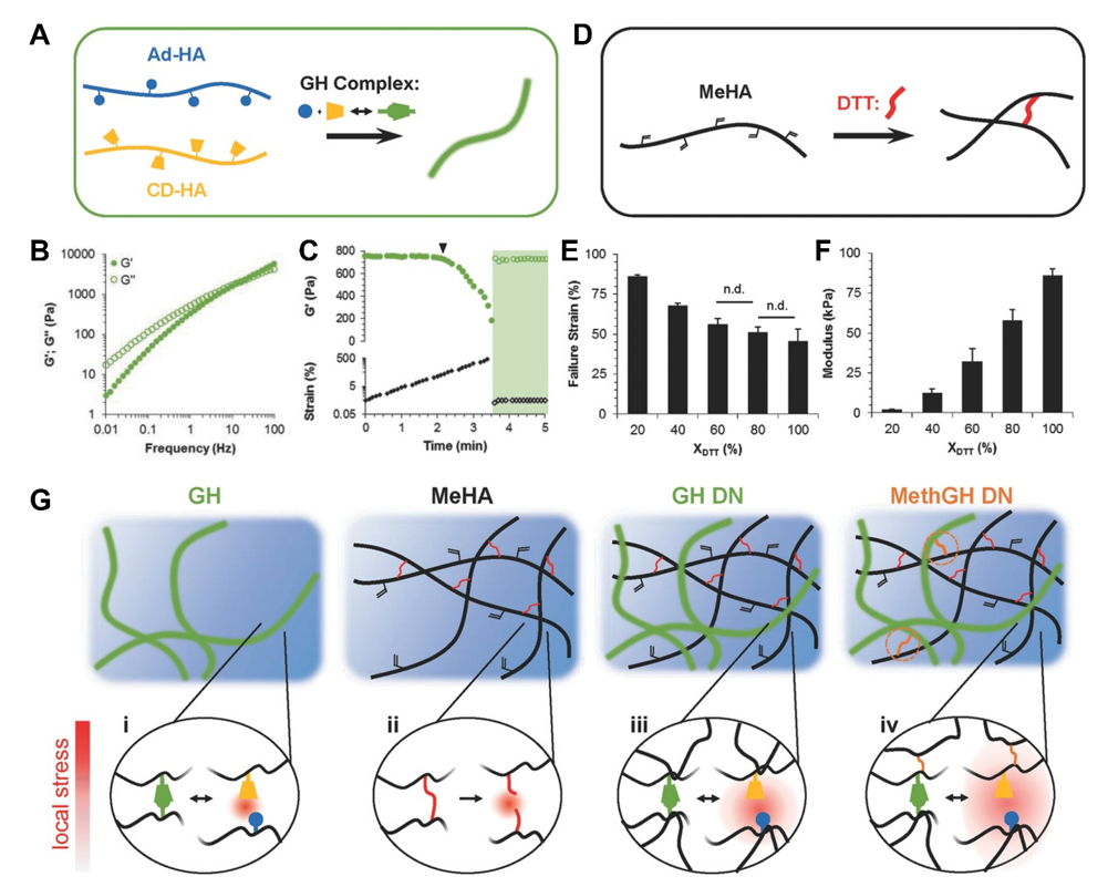 Gels 07 00163 g007 550