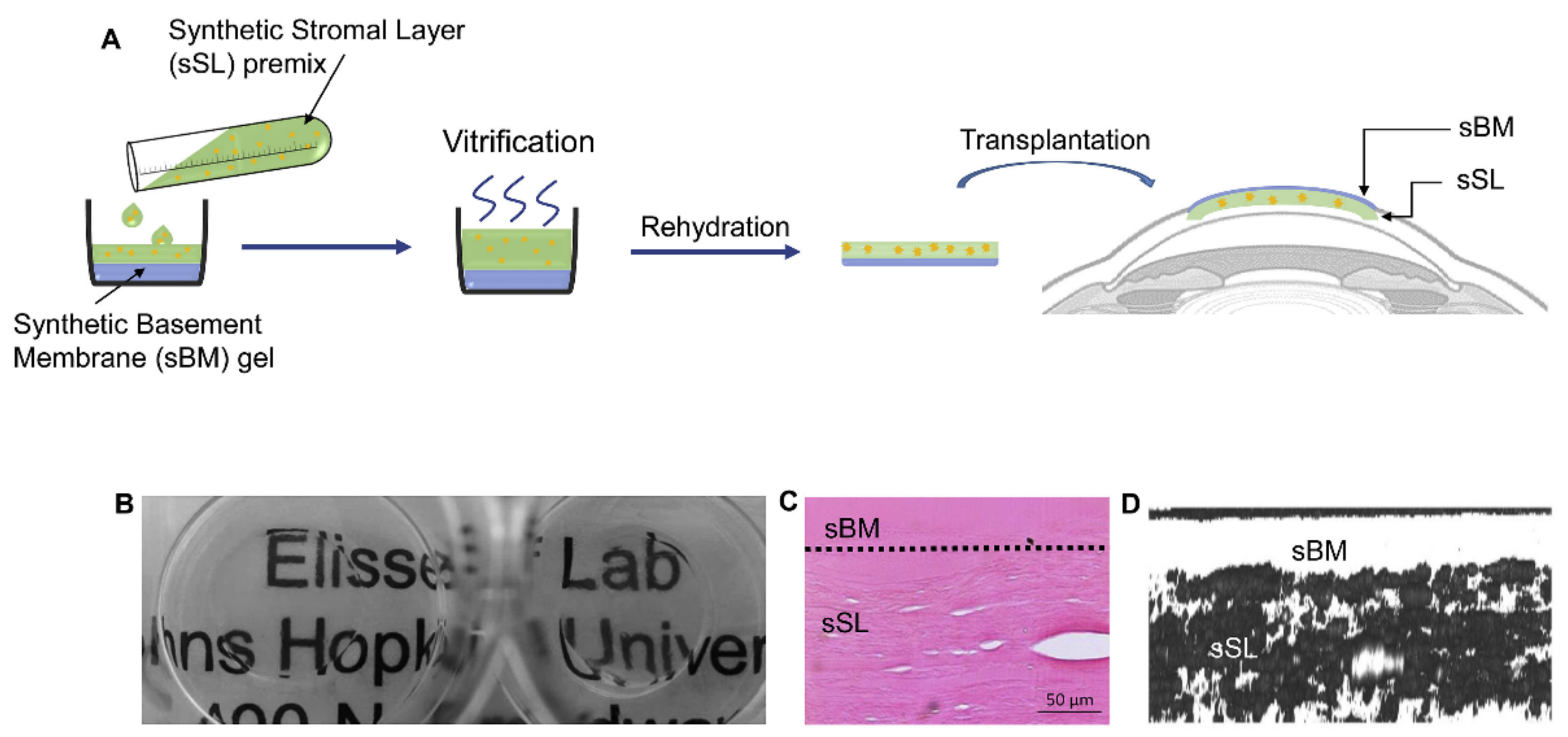 Gels 07 00163 g009 550