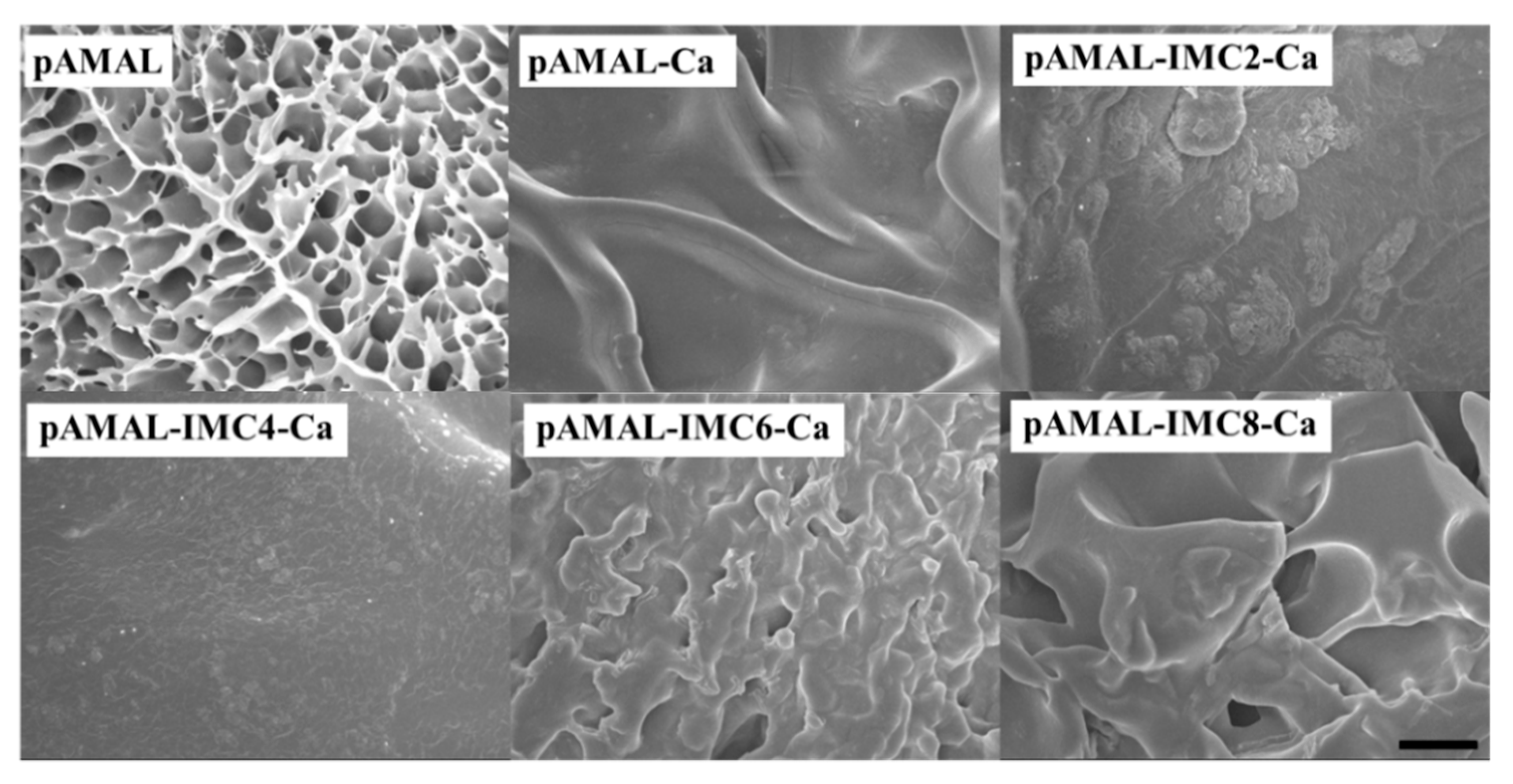 Gels 07 00164 g002 550