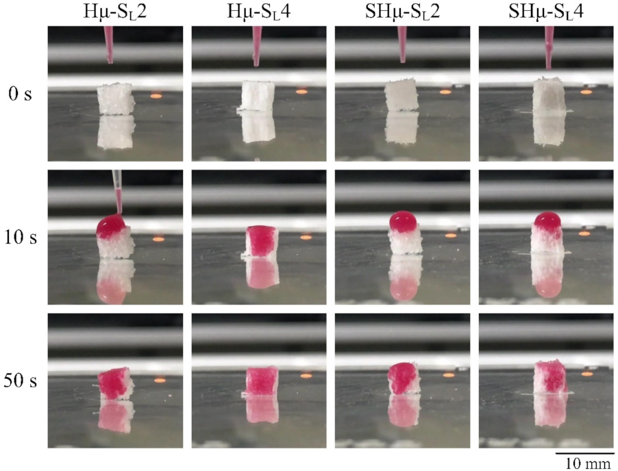 Gels 07 00165 g003 550