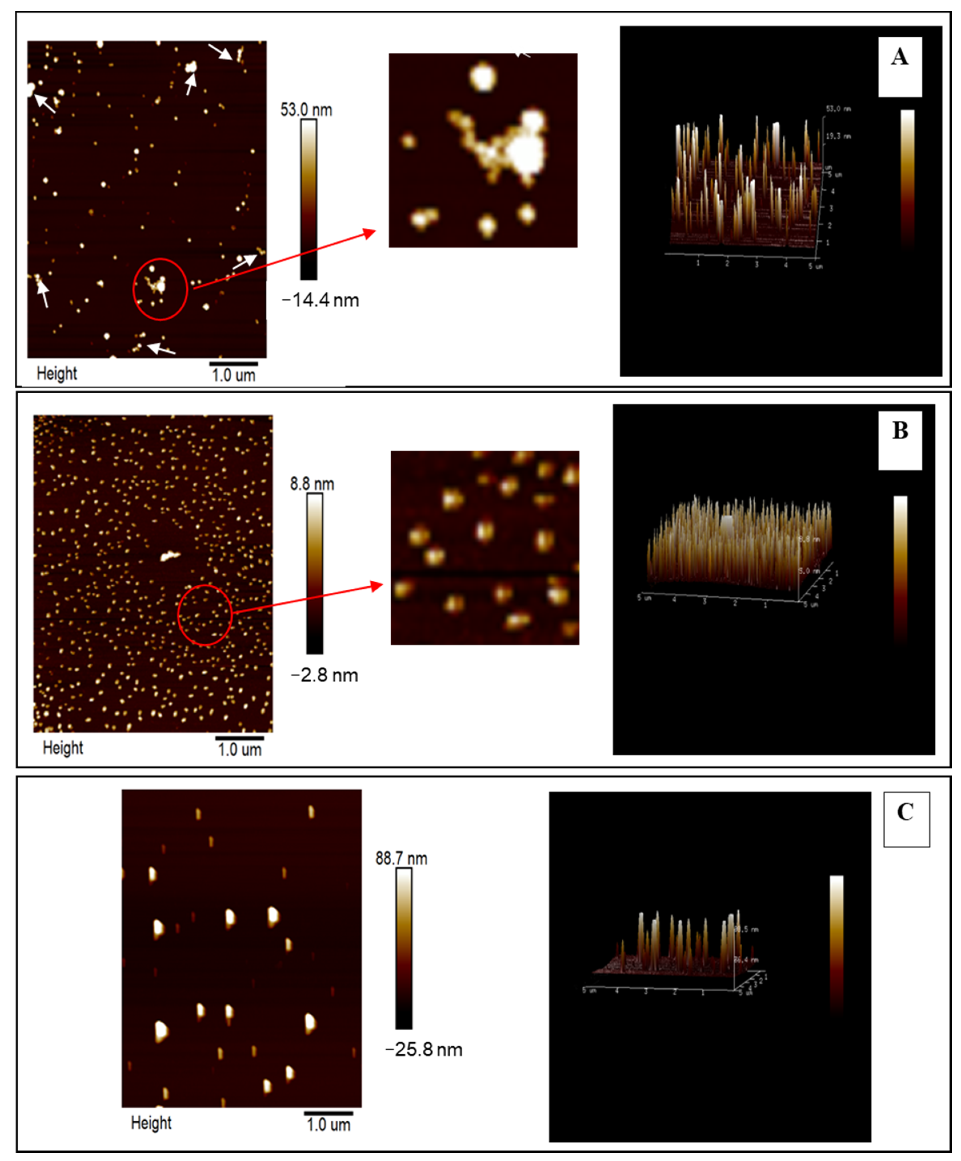 Gels 07 00166 g003 550