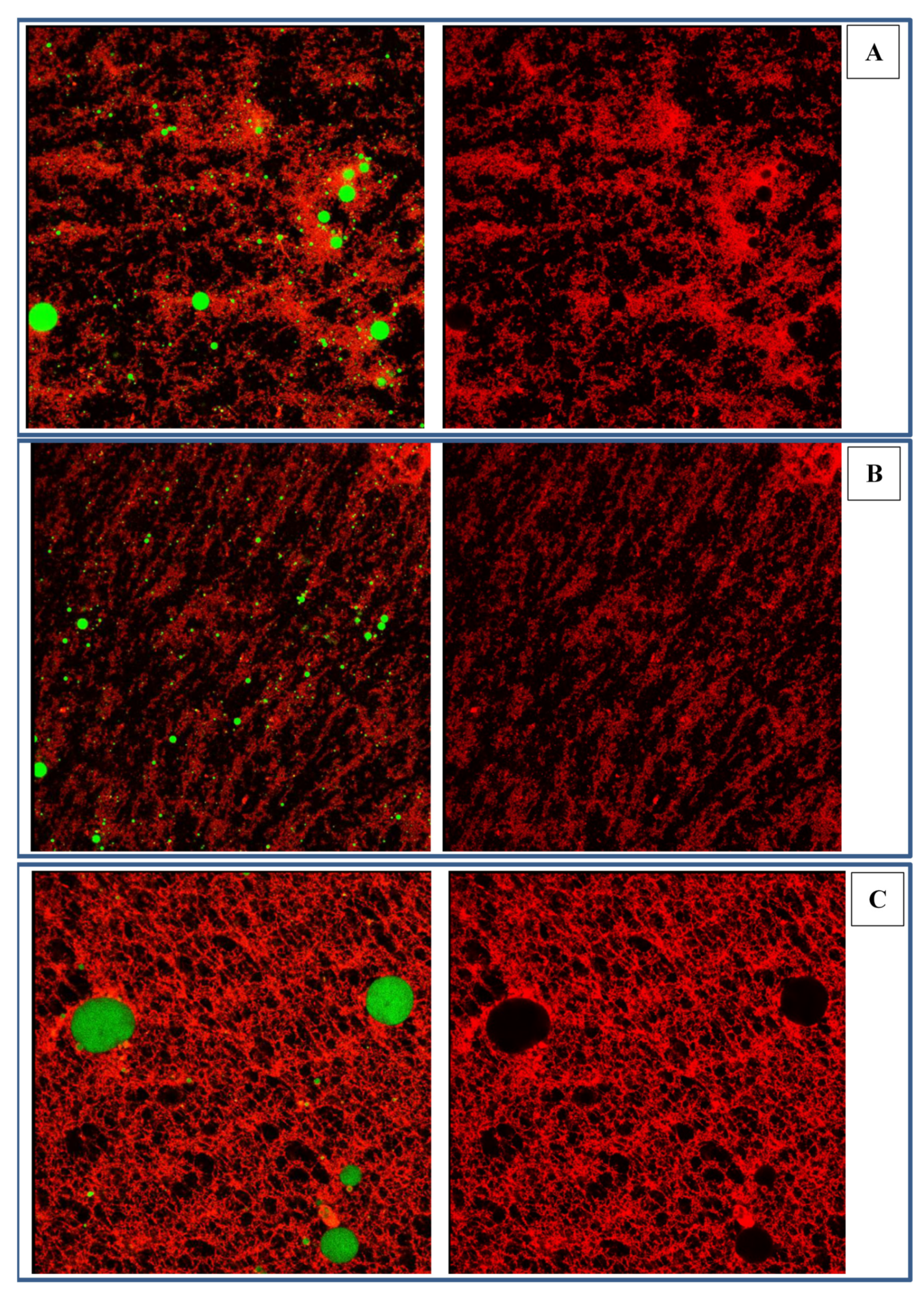 Gels 07 00166 g007 550