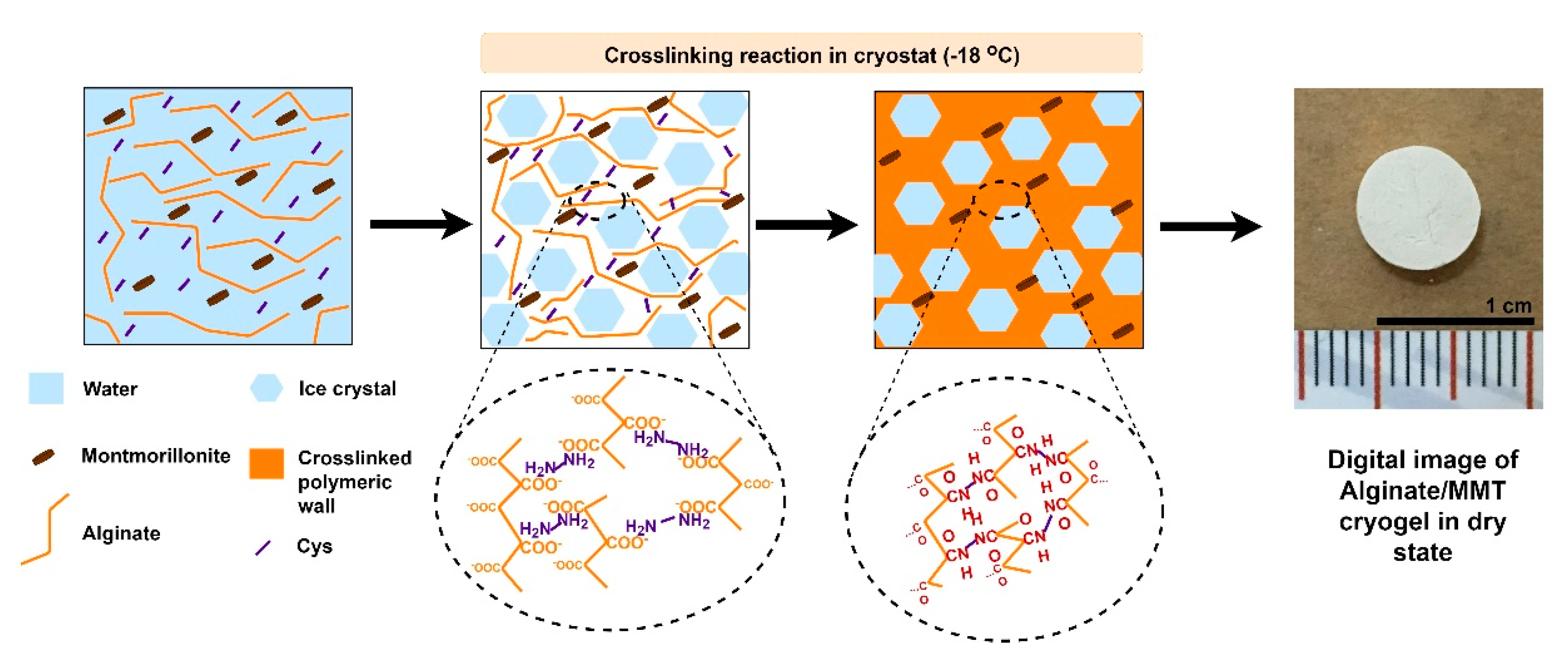 Gels 07 00178 g002 550